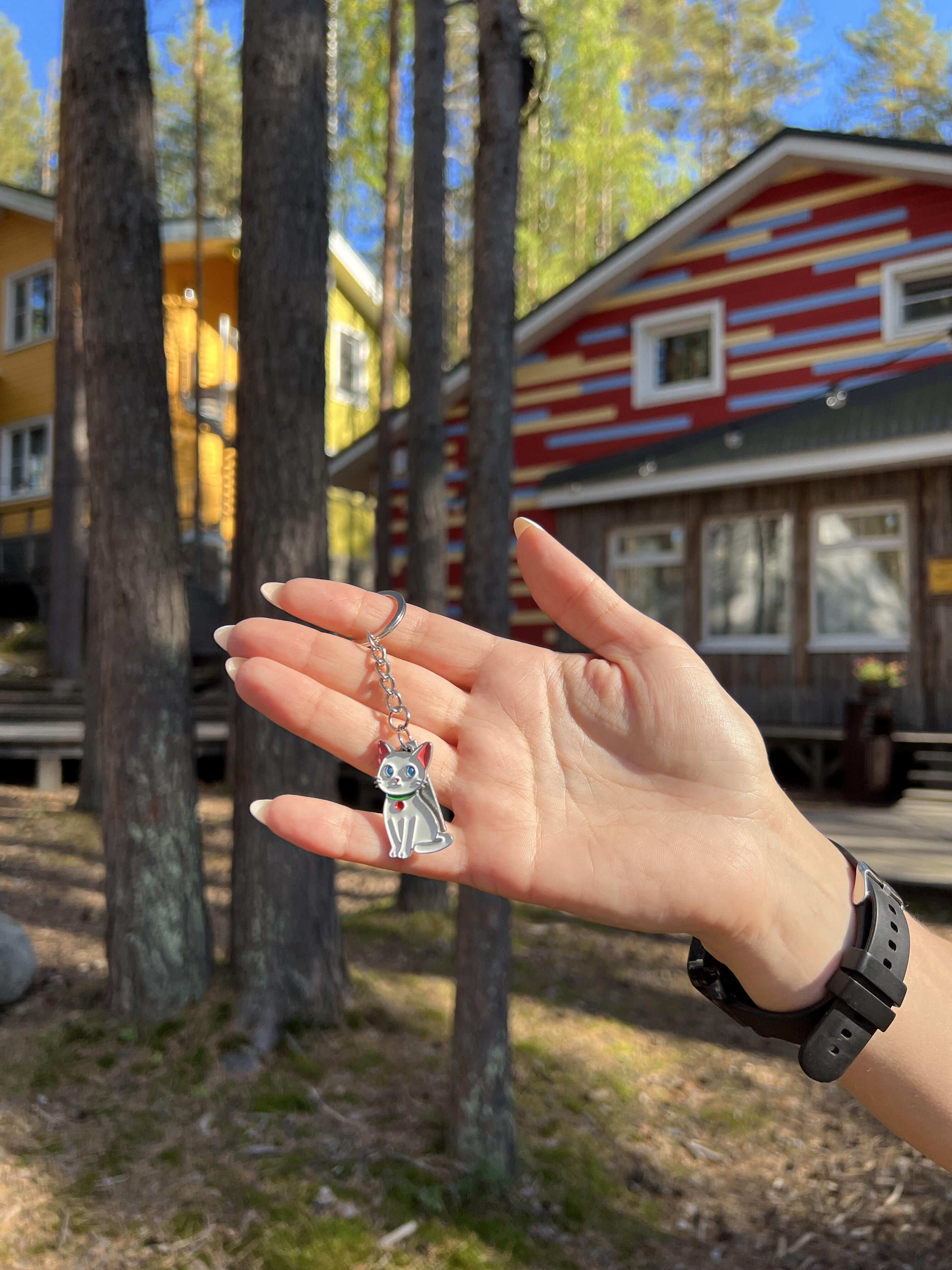 Фото Карьяла Парк