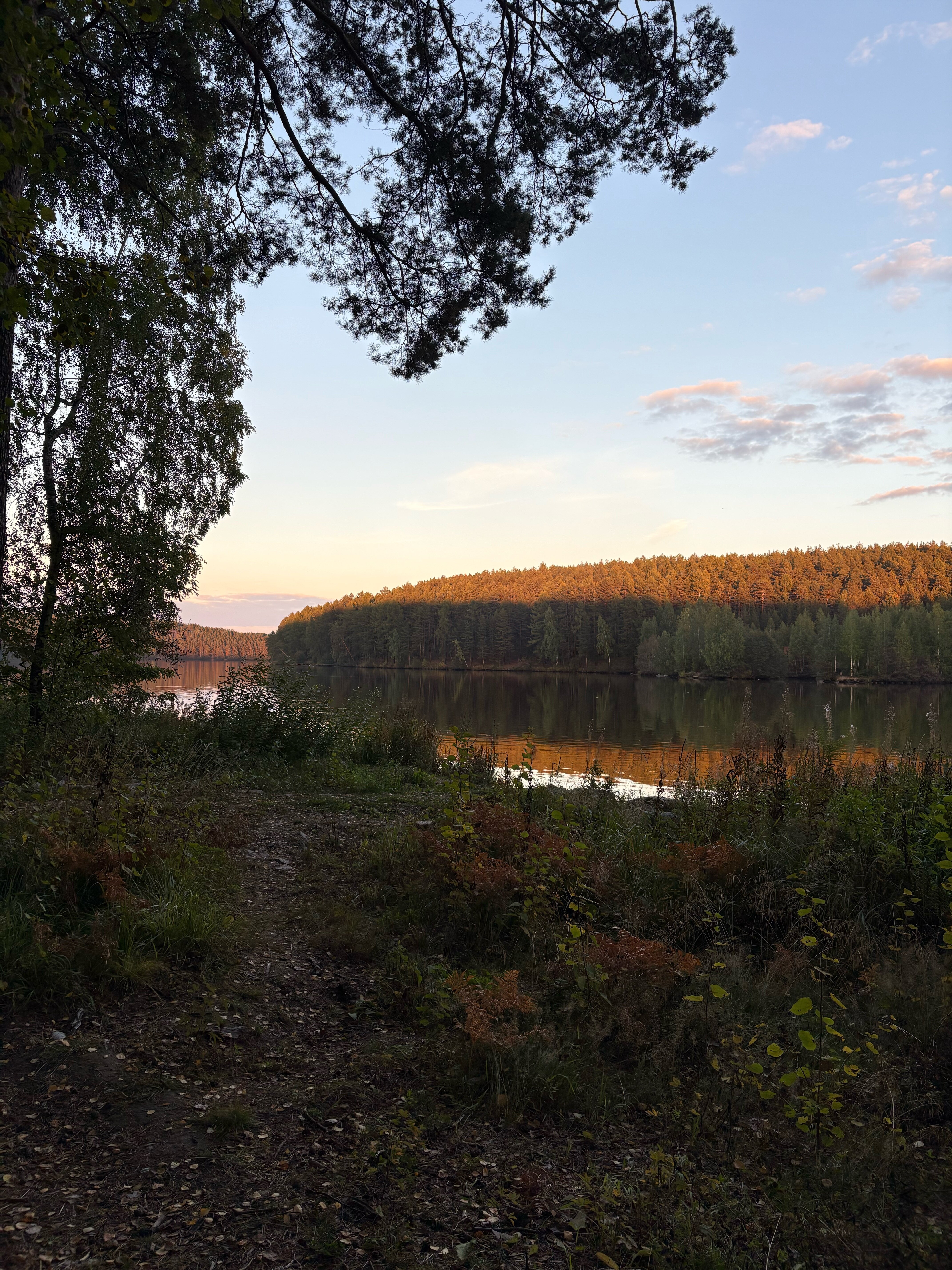 Фото Шелест Inn