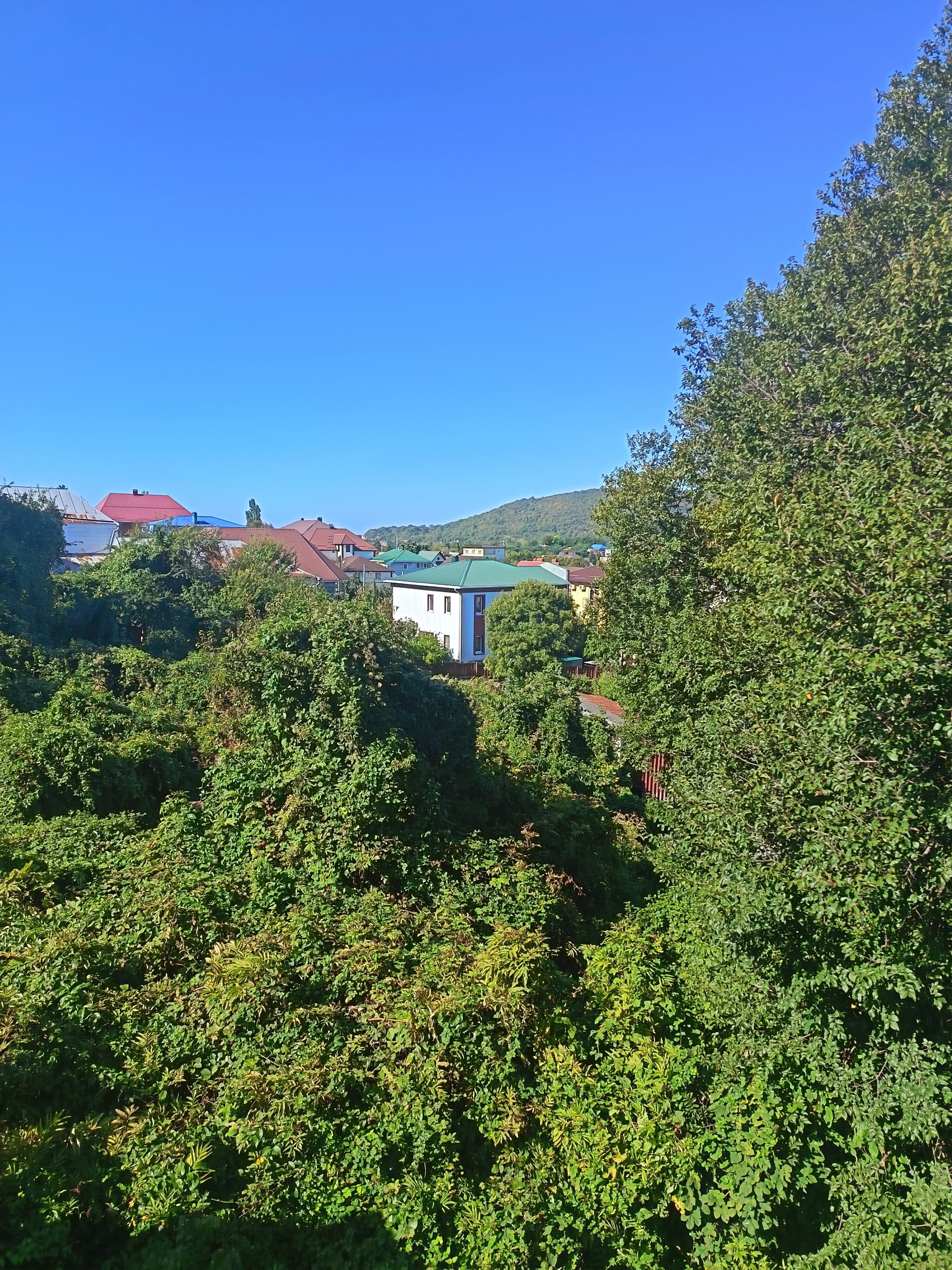 Фото Баунти