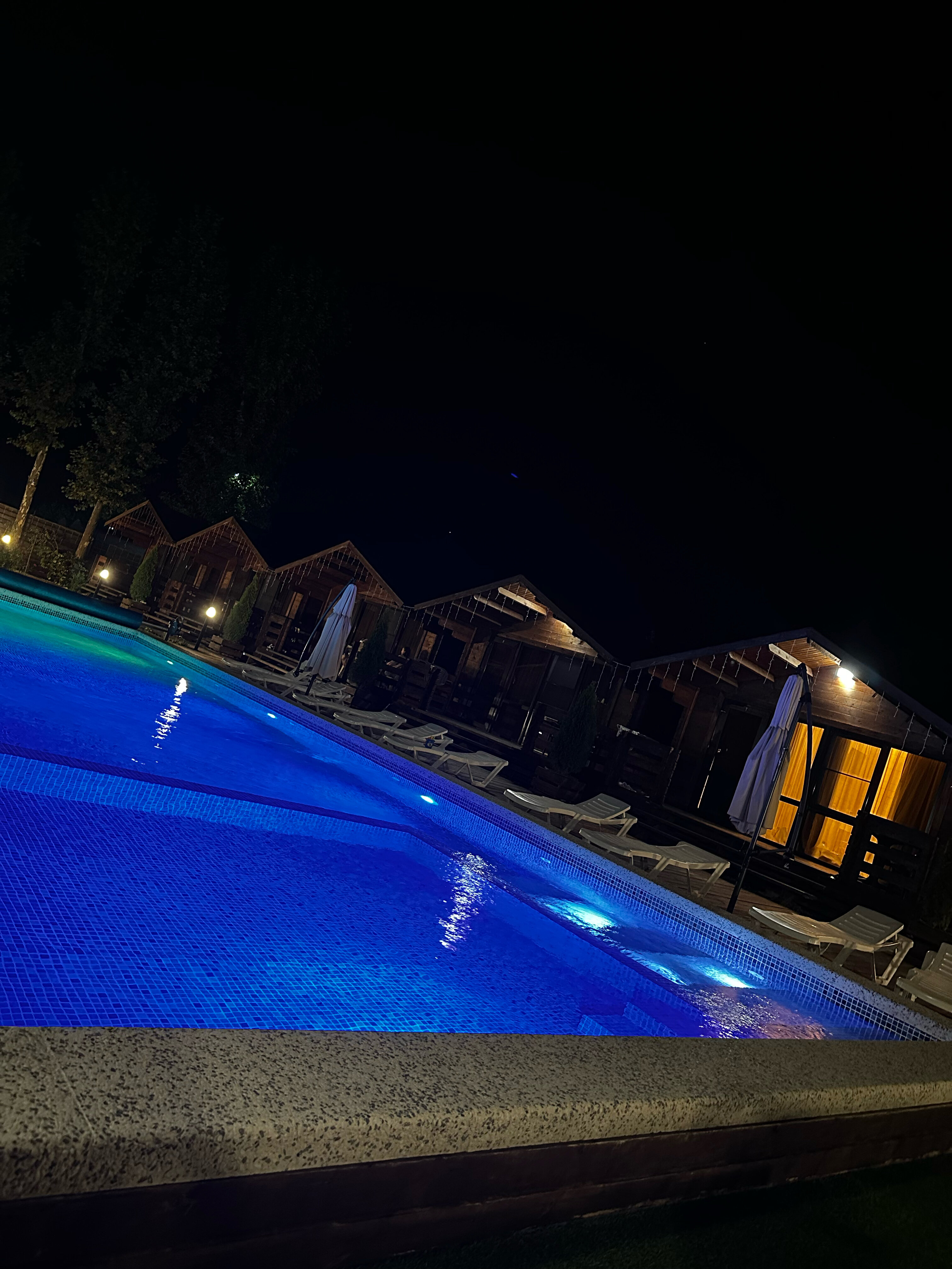 Фото Платан-Paradise