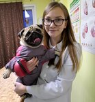 Doctor Pets (ул. Малахова, 164, Барнаул), ветеринарная клиника в Барнауле