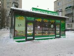 Белорусский Дворик (Санкт-Петербург, улица Тамбасова), grocery
