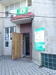 Российская экологическая партия Зеленые (Екатерининская улица, 3), environmental organization