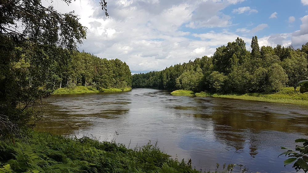 Фото Урочище Машуково
