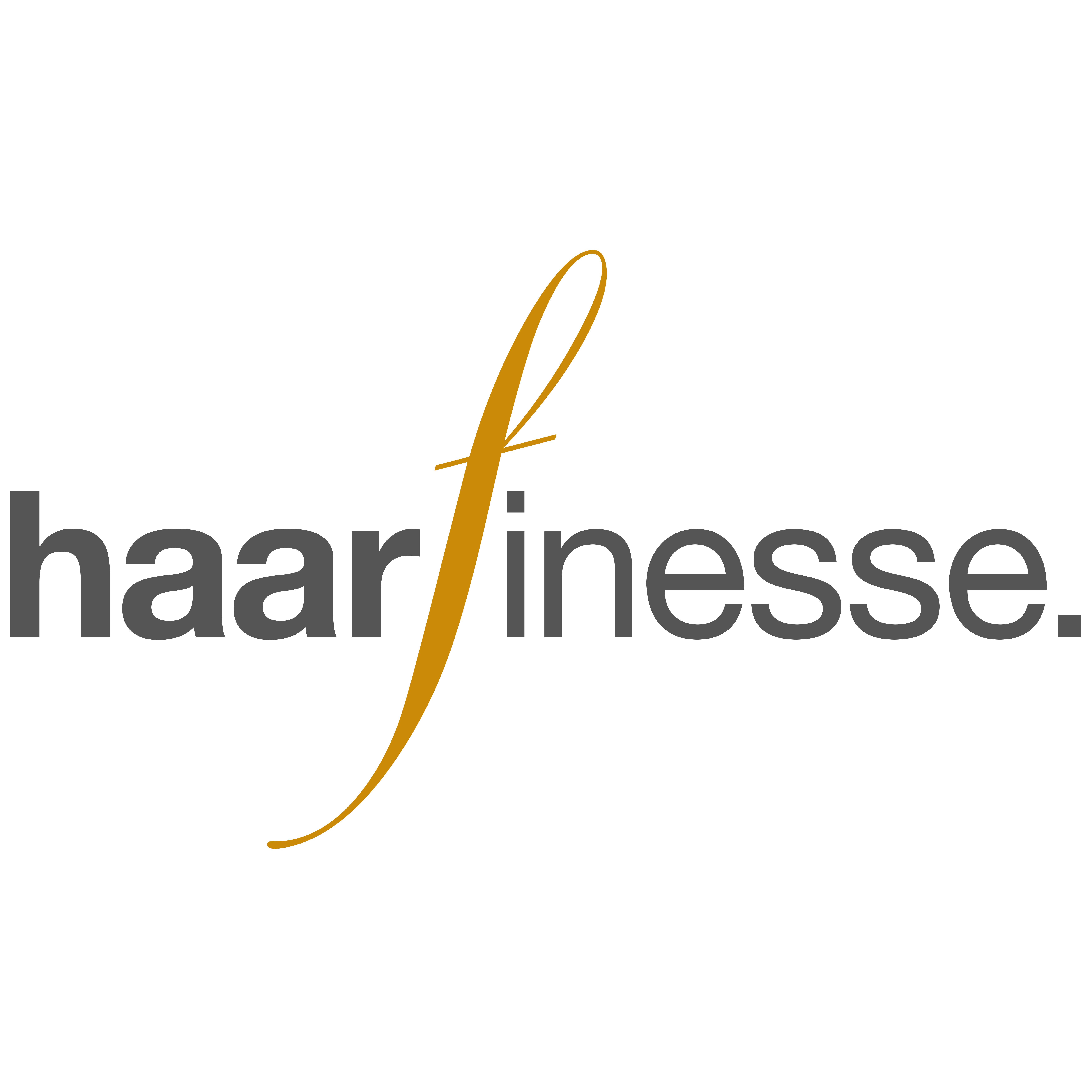 Haarfinesse