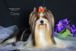 Delight of Souls (posyolok gorodskogo tipa Alekseyevka, Pionerskaya ulitsa, 1А), vivero de animales