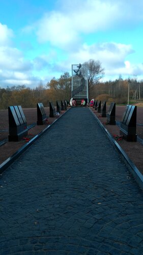 Кладбище Воинское захоронение, Новгородская область, фото