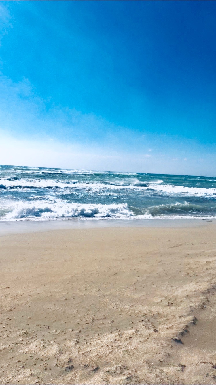 Фото Фазенда