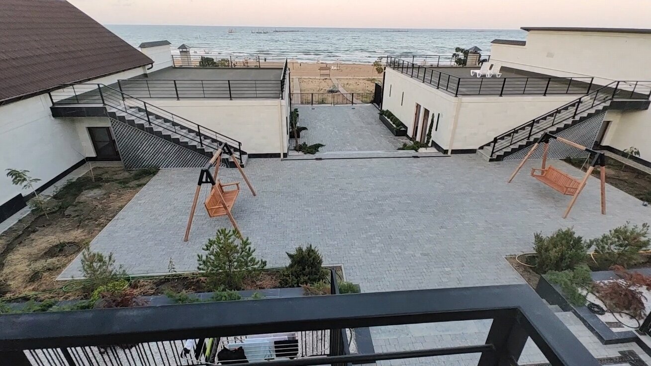 Фото Павлония