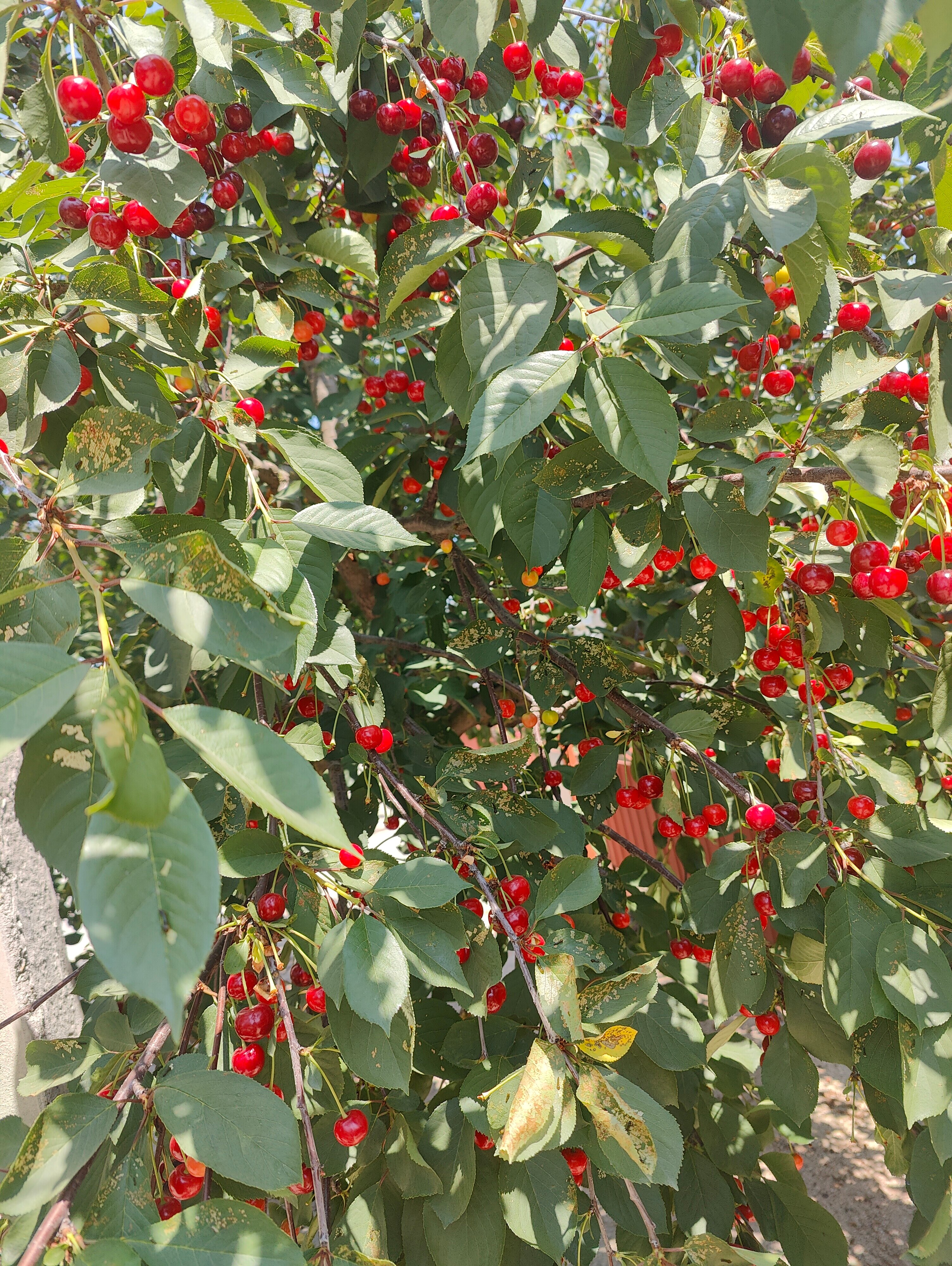 Фото Дом для отдыха на Фрунзе