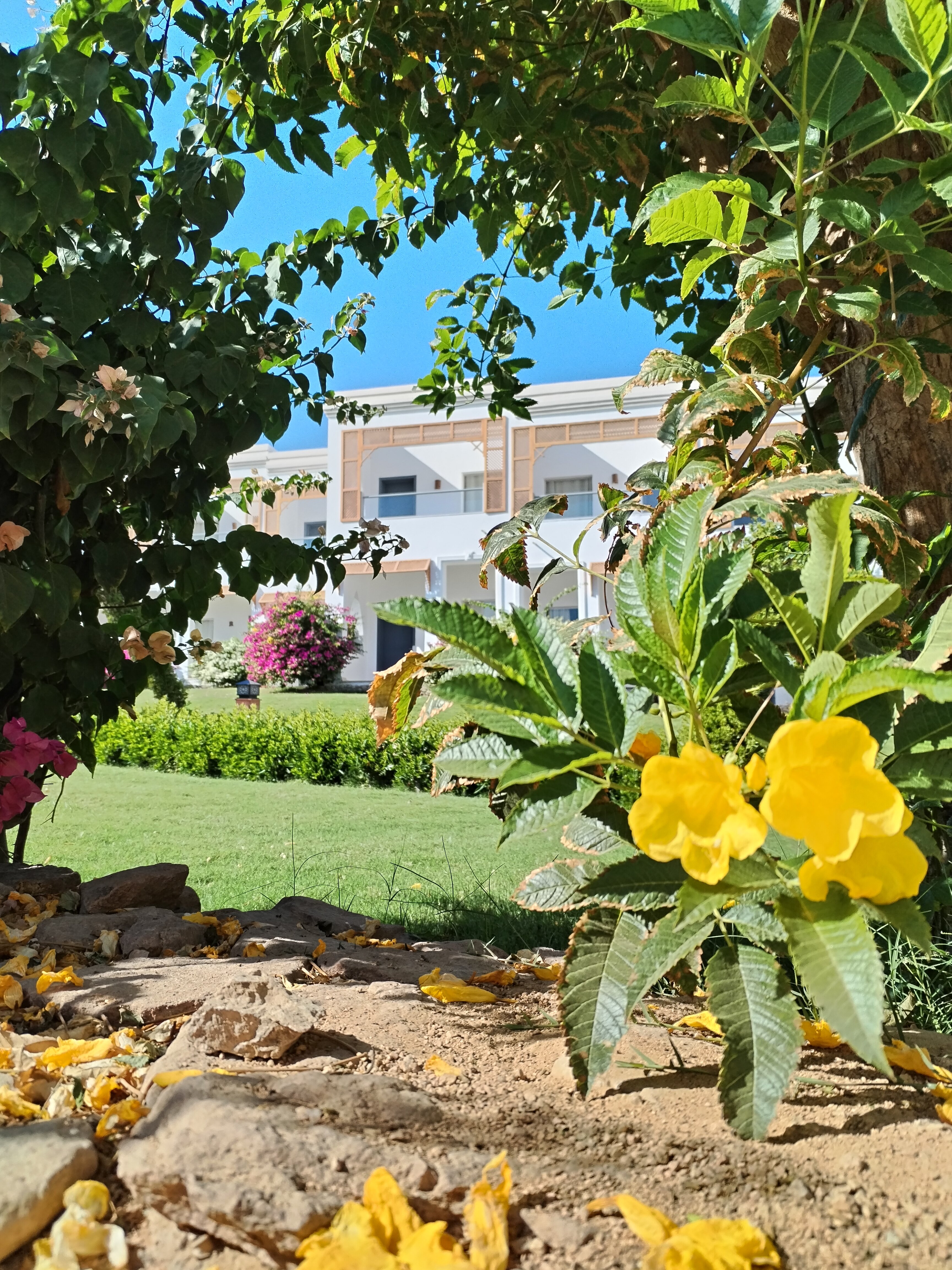 Фото Club Reef Resort