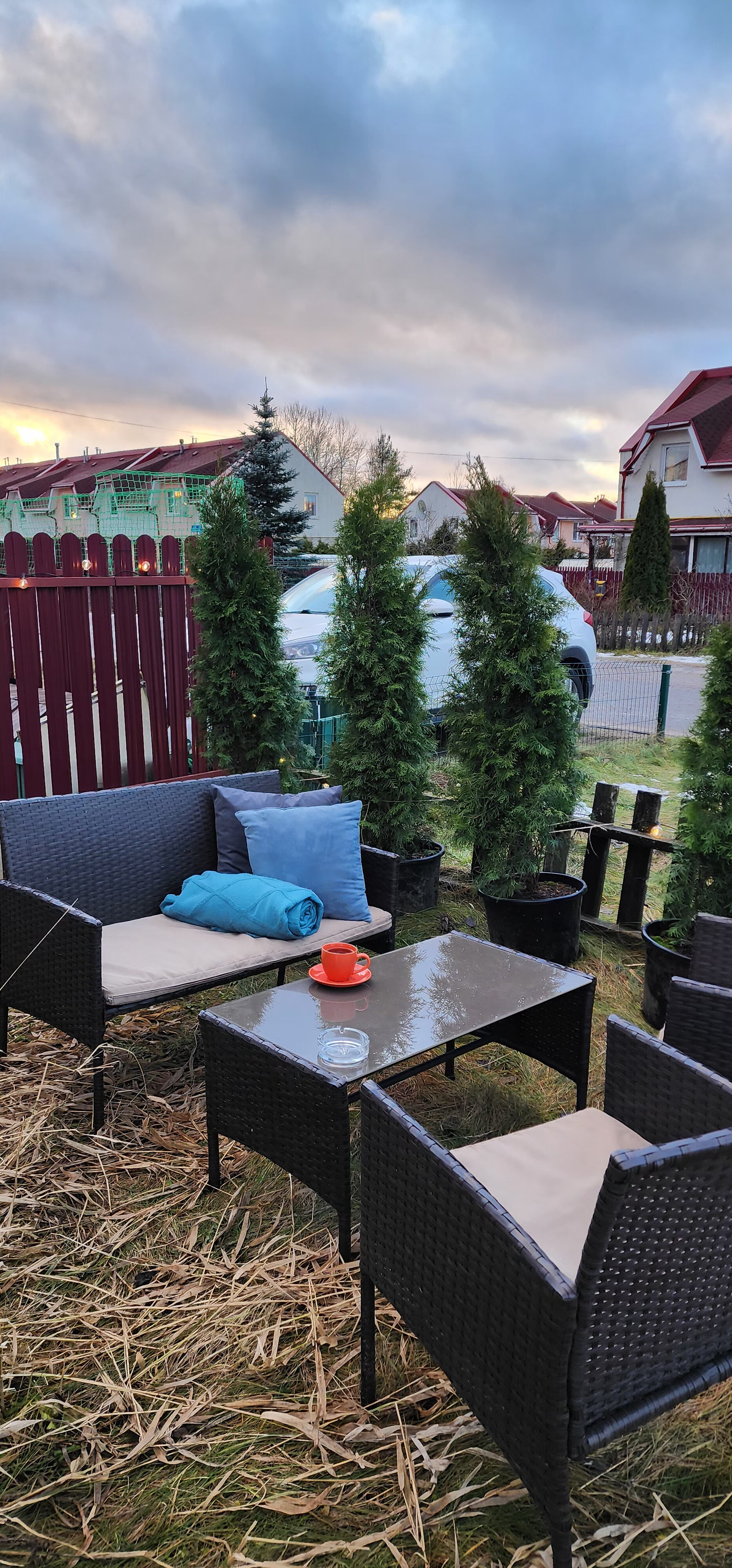 Фото Уютная Орхидея