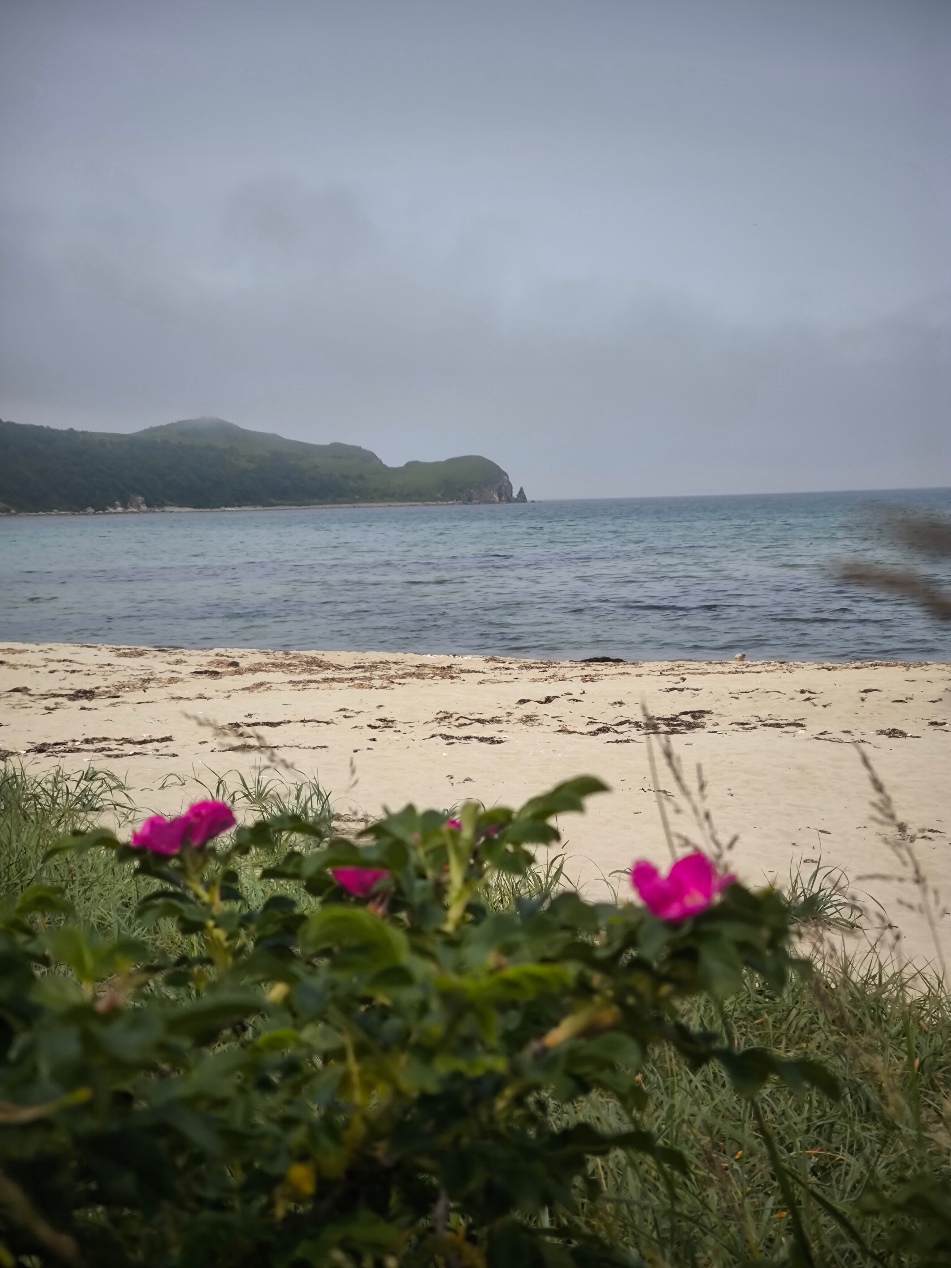 Фото Экопарк Бухта Астафьева