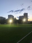 Zenith Stadium Administration (Ulyanovykh Street, 23), management company