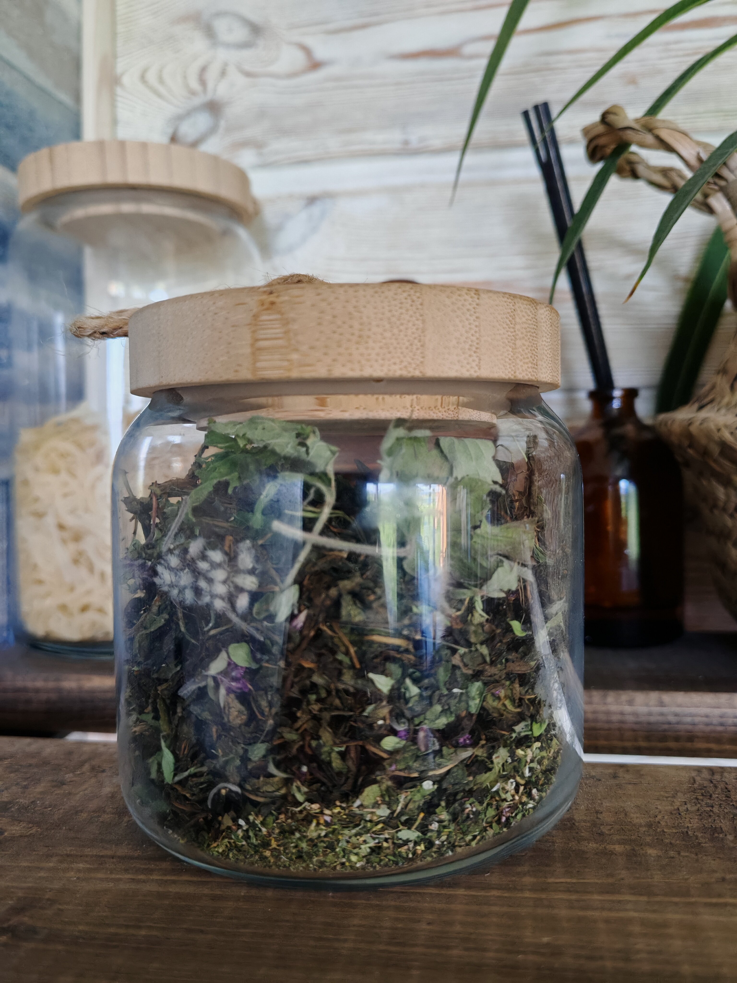 Фото Лувеньга река