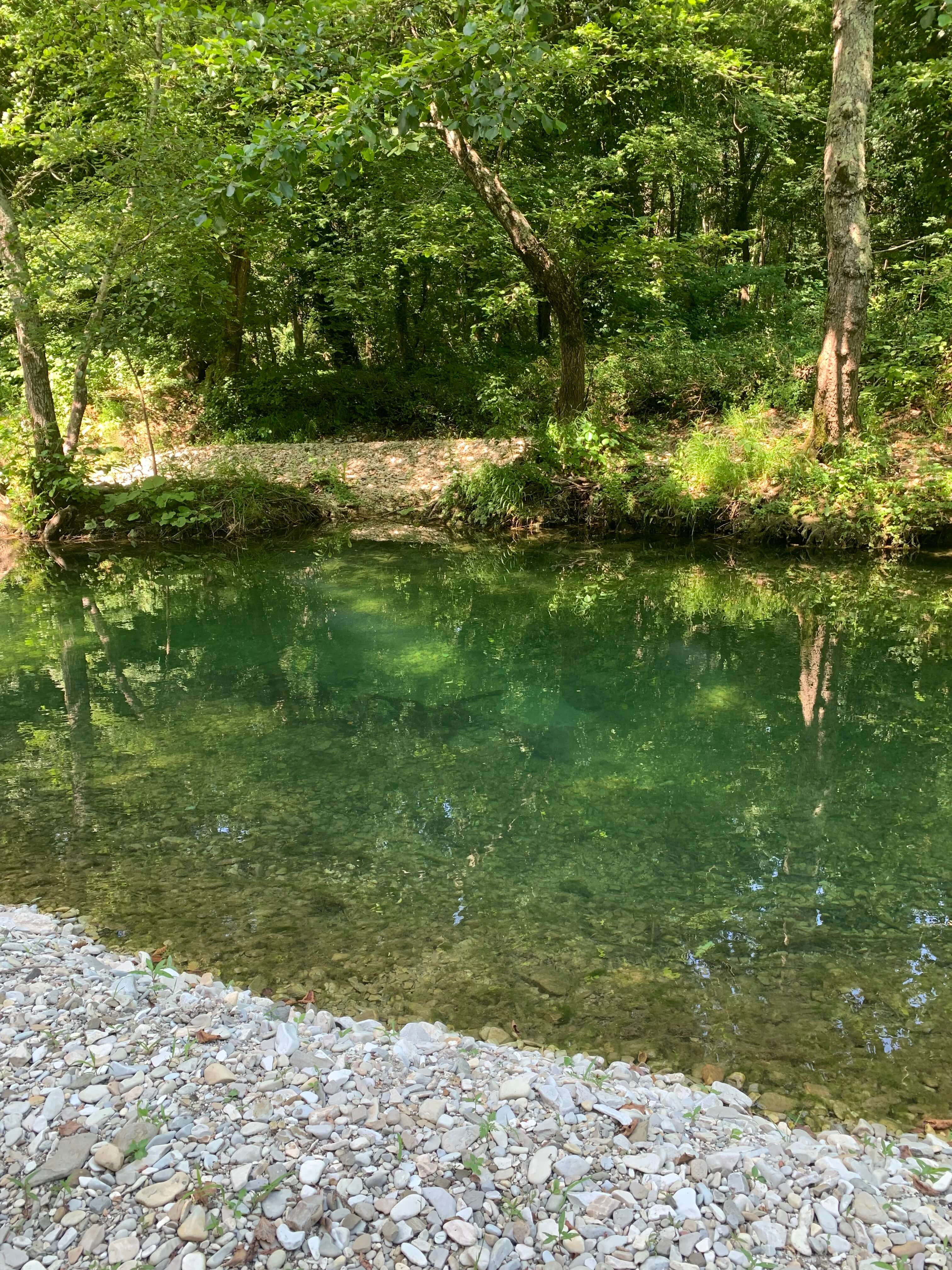 Фото Butik Дача & Баня