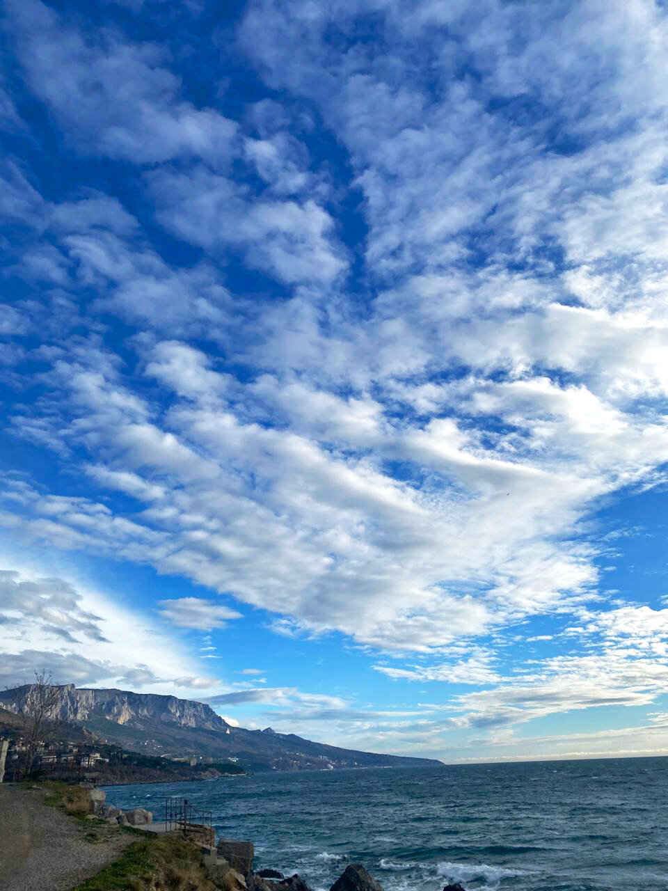 Фото Белый парус