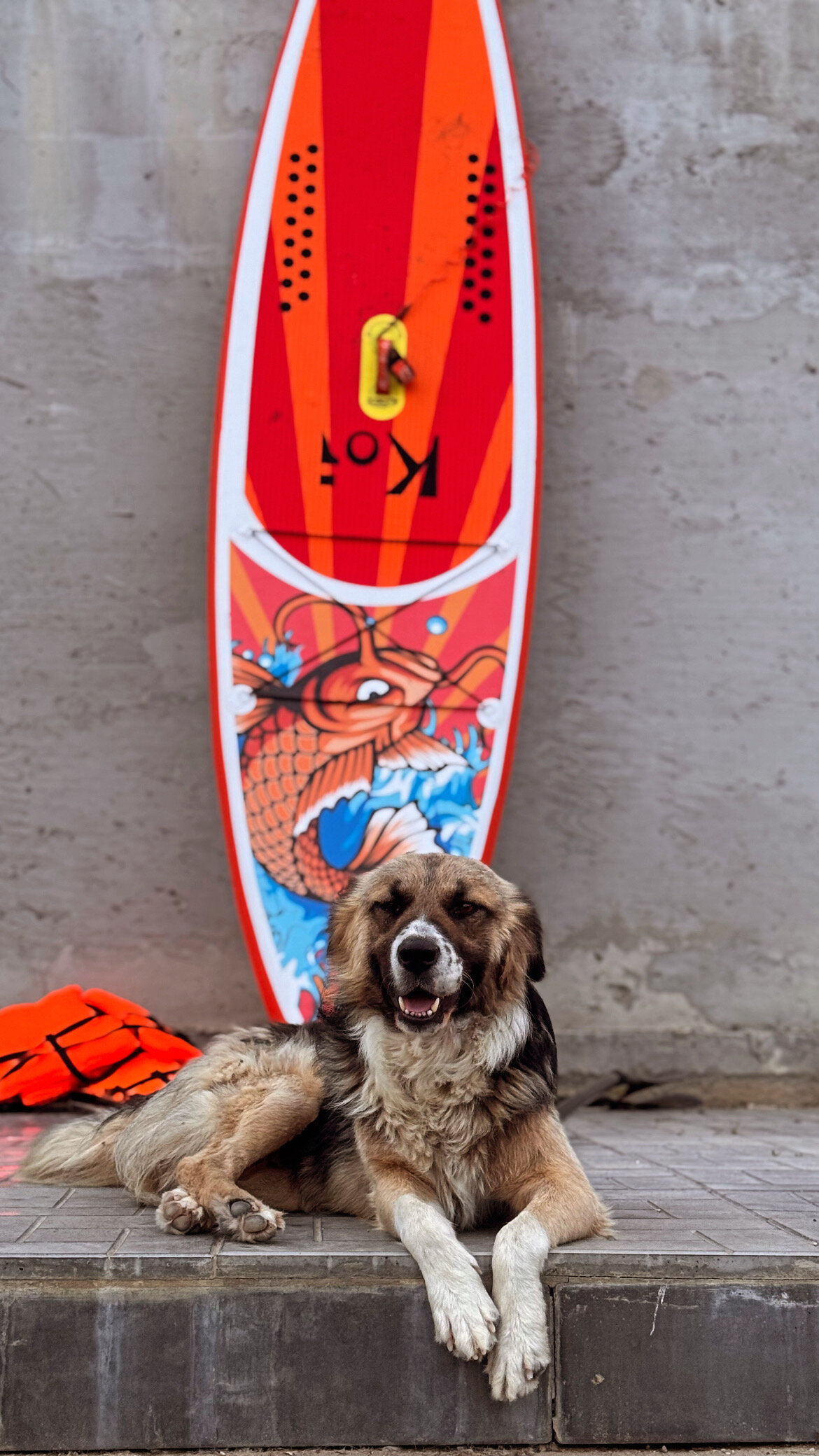 Фото Hill_house 05