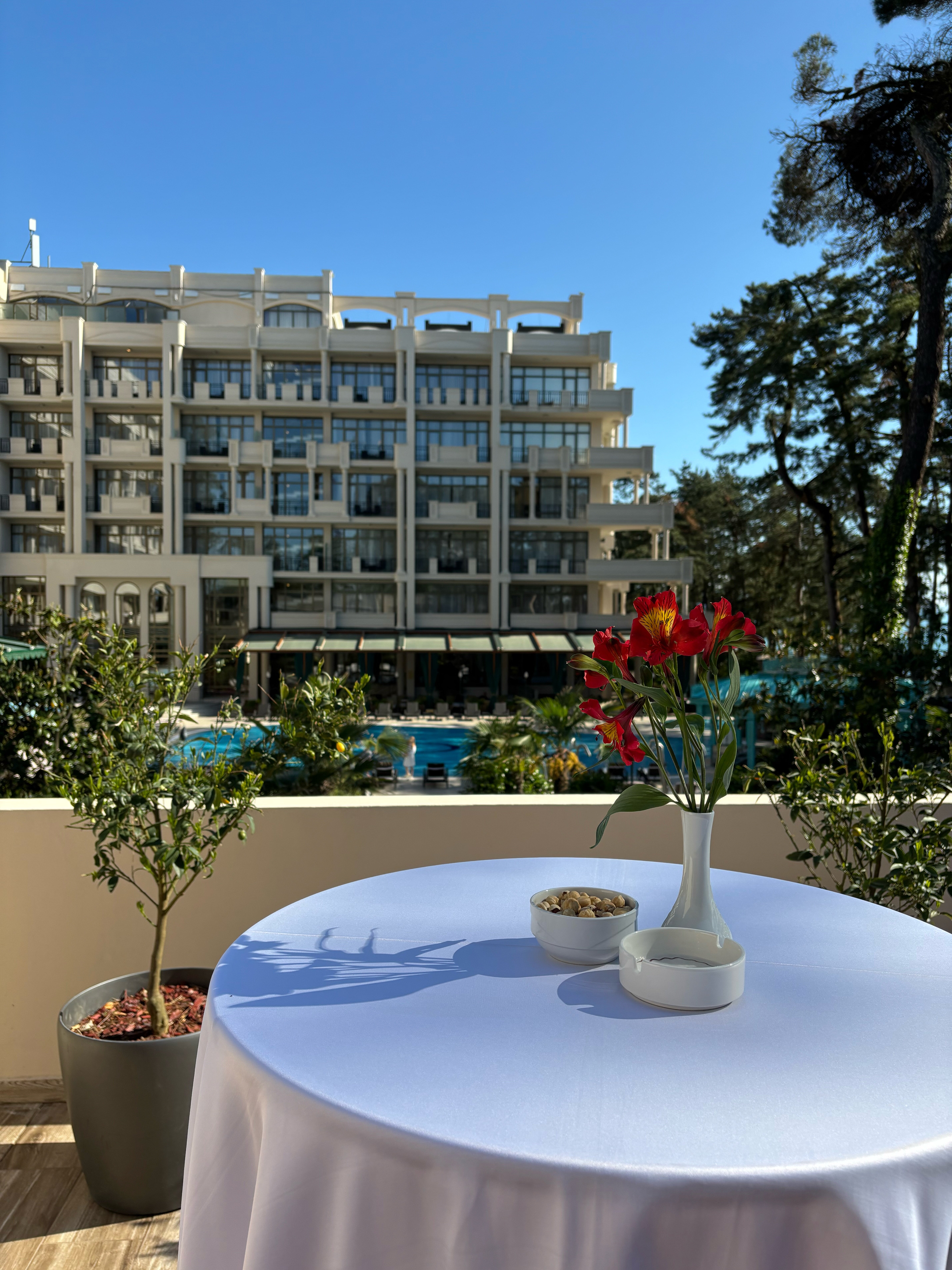 Фото Georgia Palace Hotel & SPA