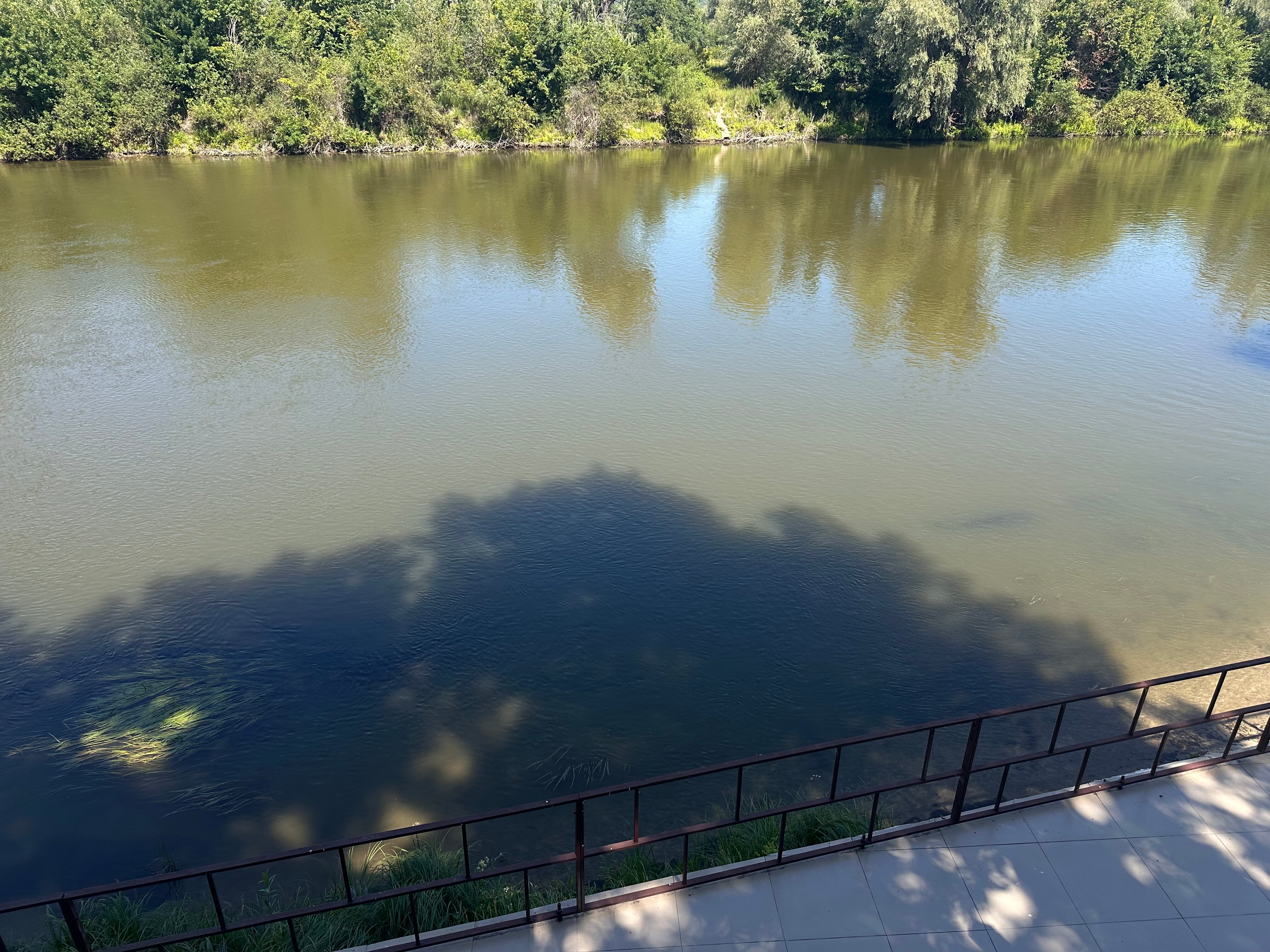 Фото Черкасский затон