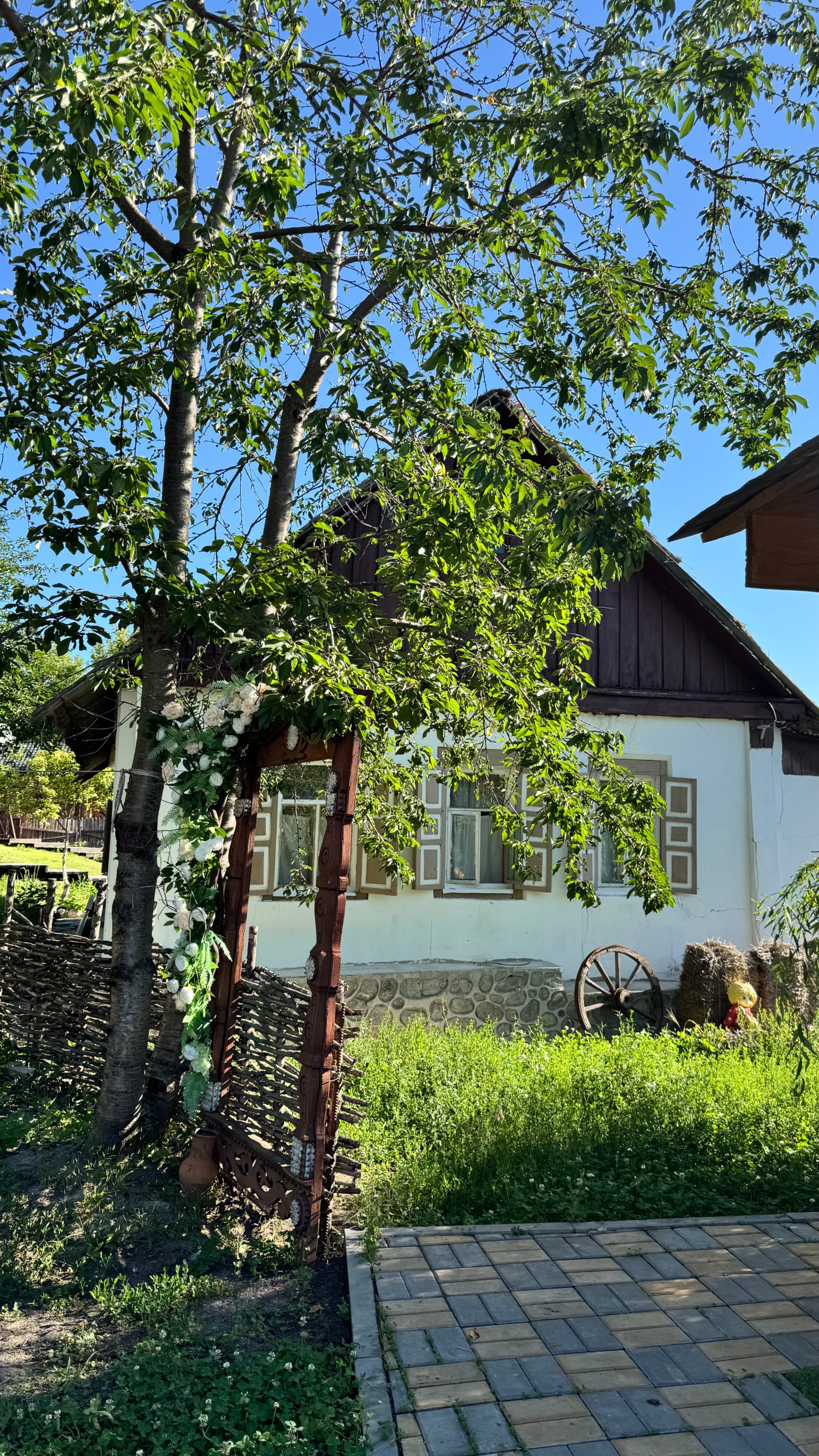 Фото Тихие Дивы