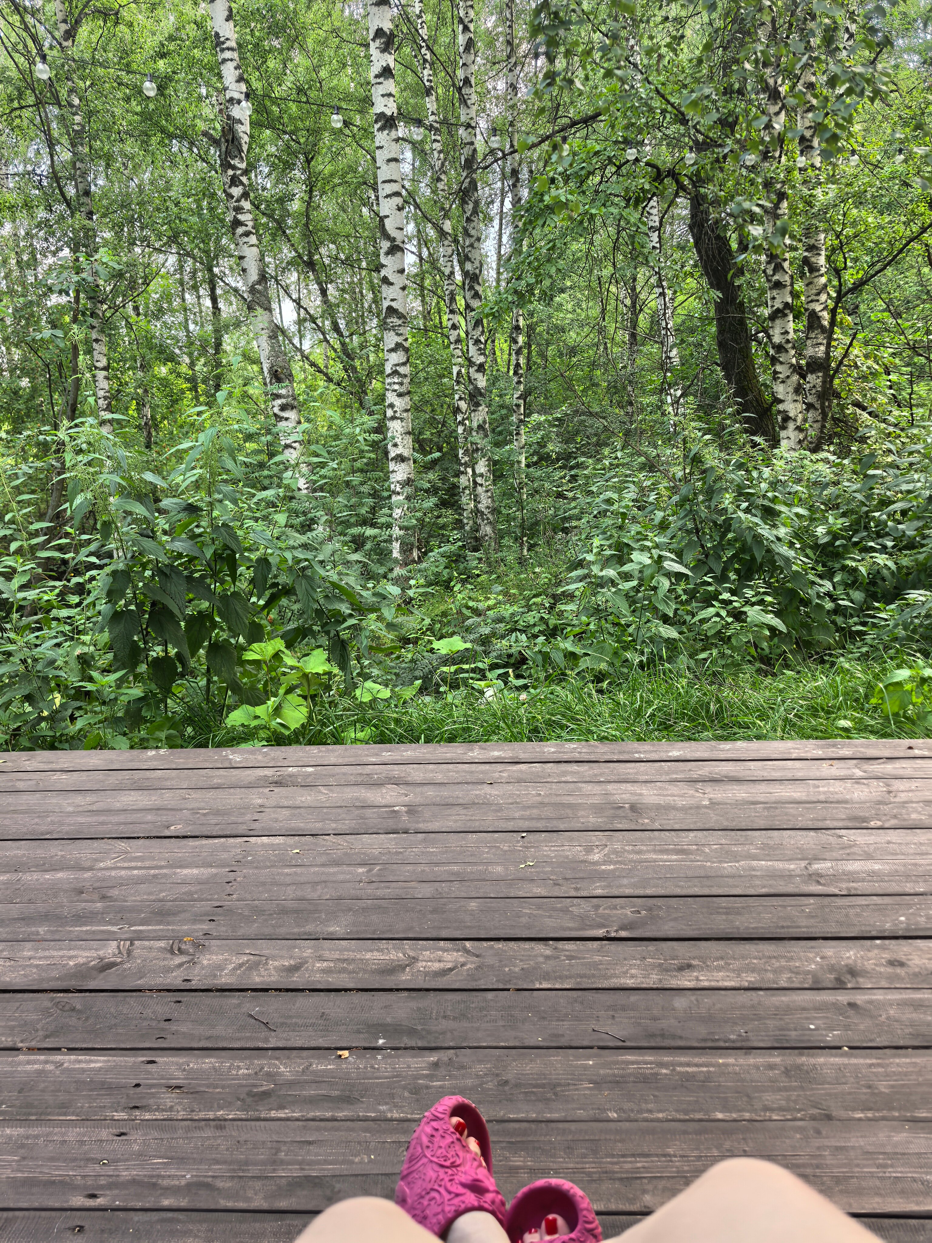 Фото Гармония тишины