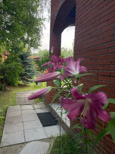 Гостевой дом Замок у художника