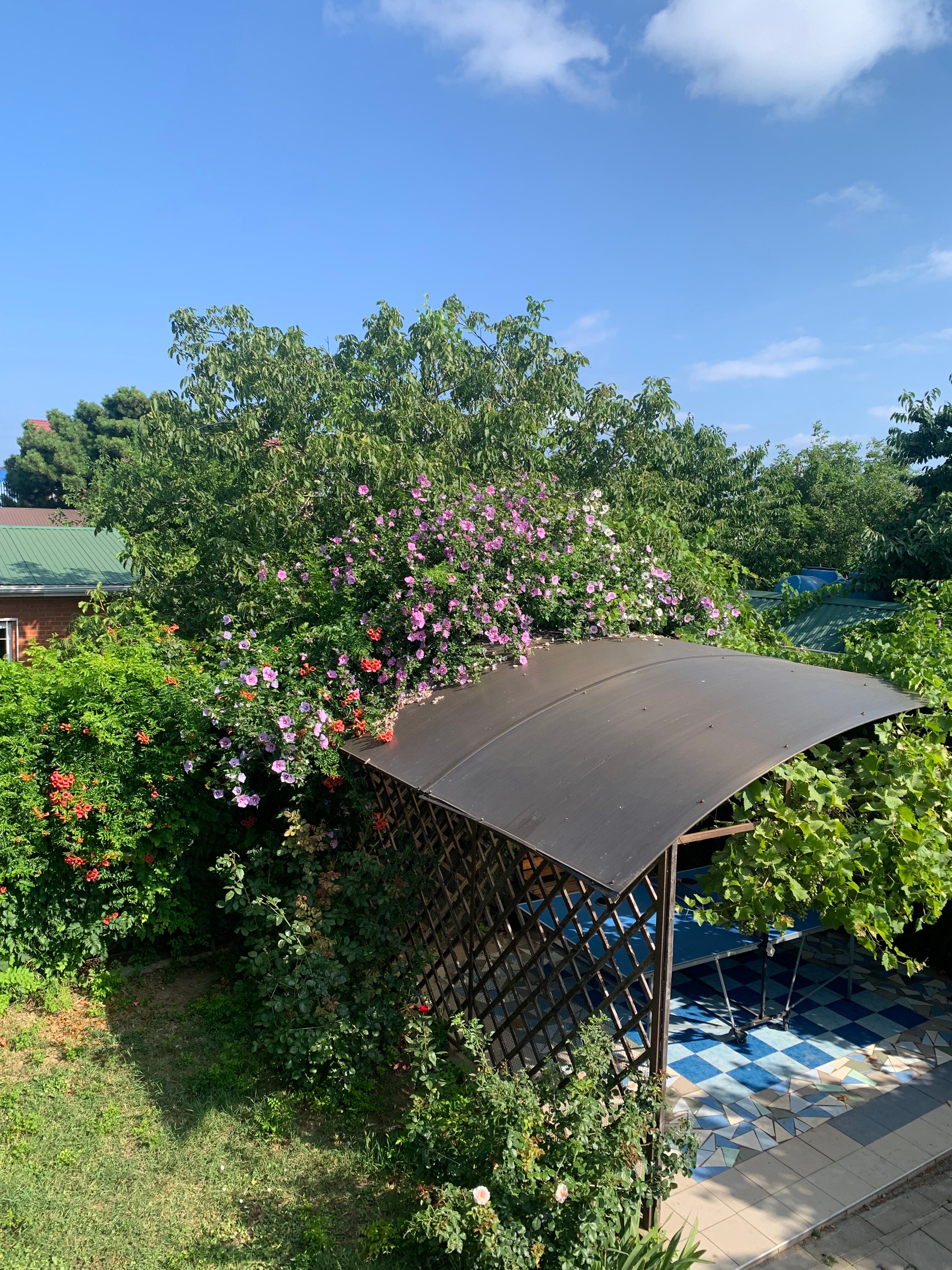 Фото Виктори