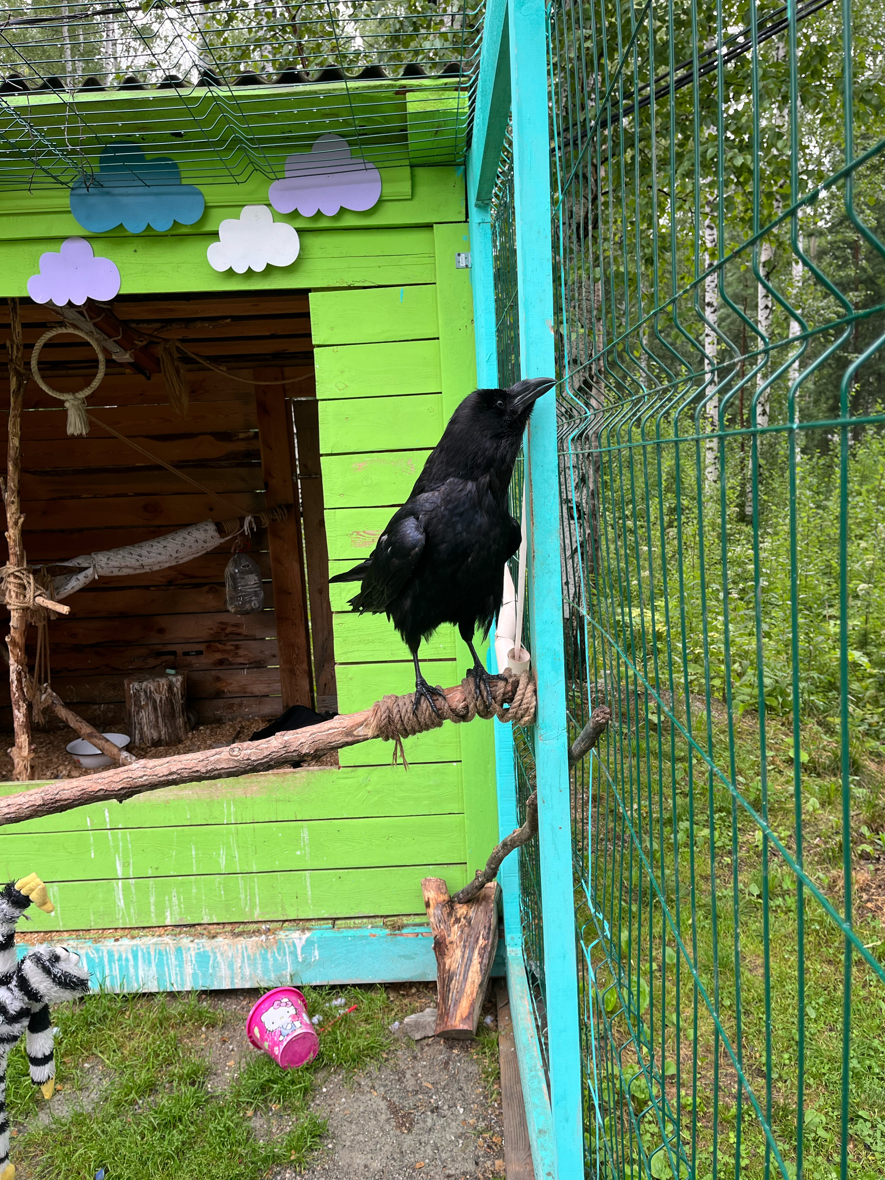 Фото Евразия