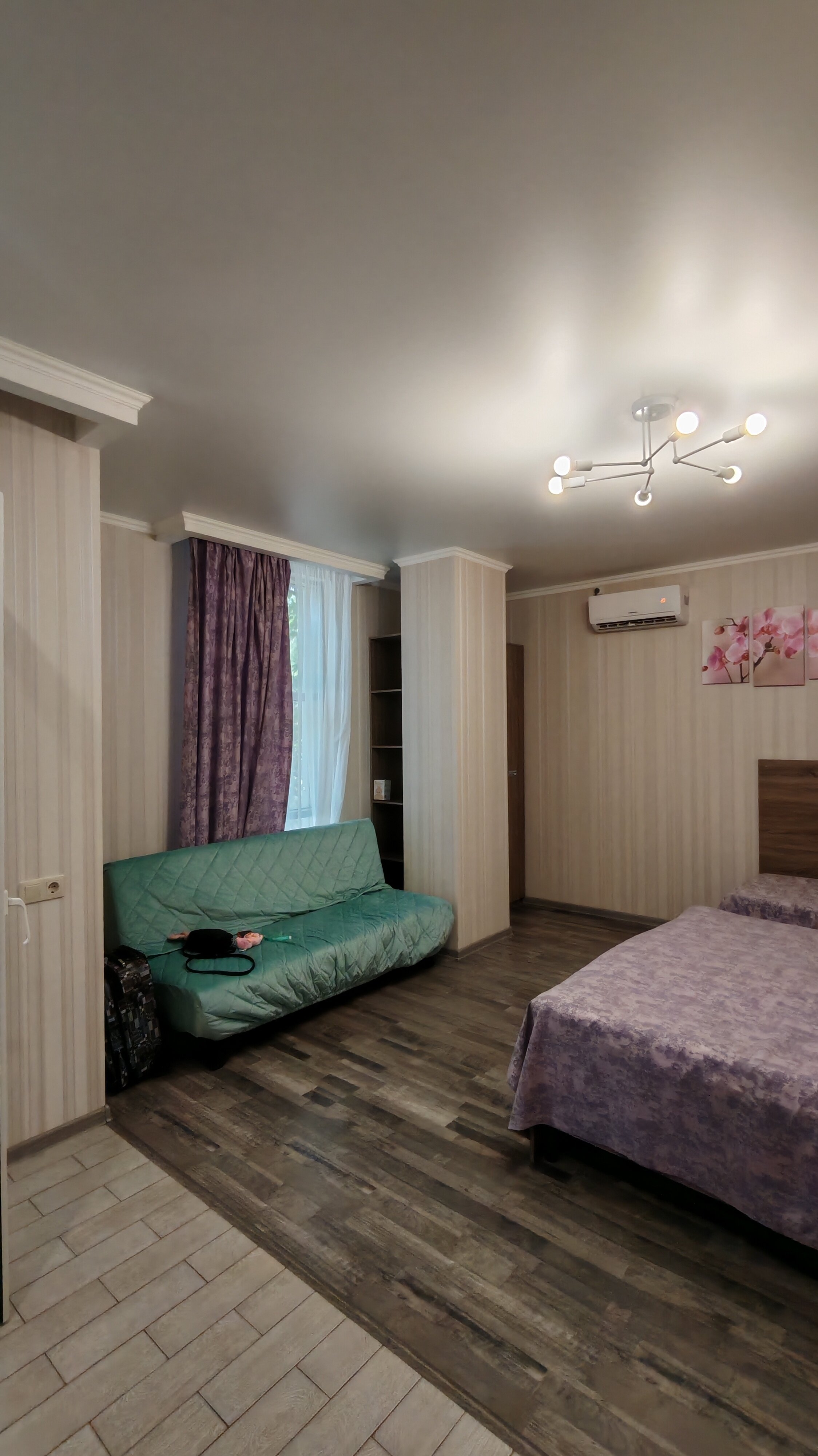 Фото Камелия