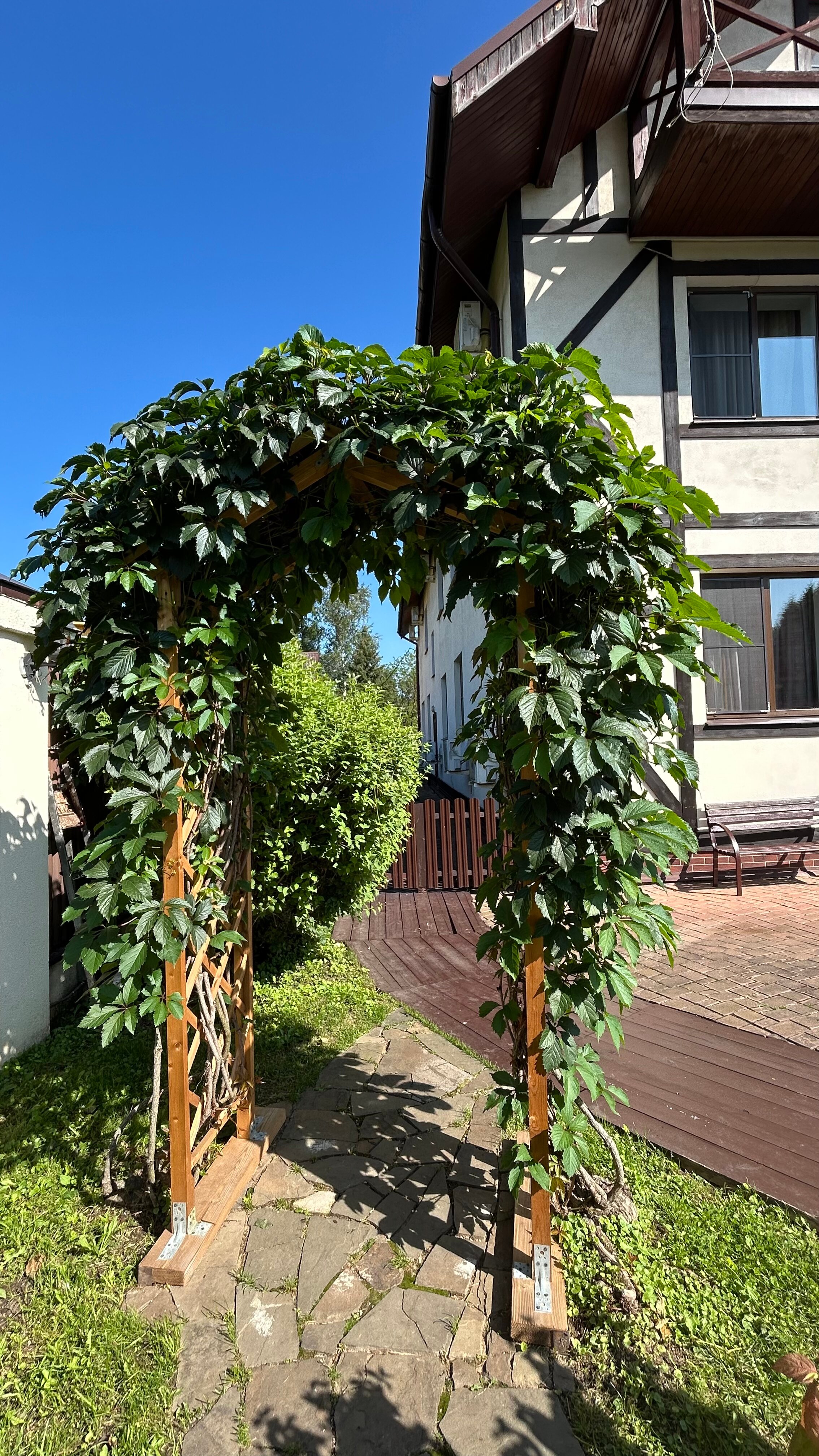 Фото Атланта Шереметьево