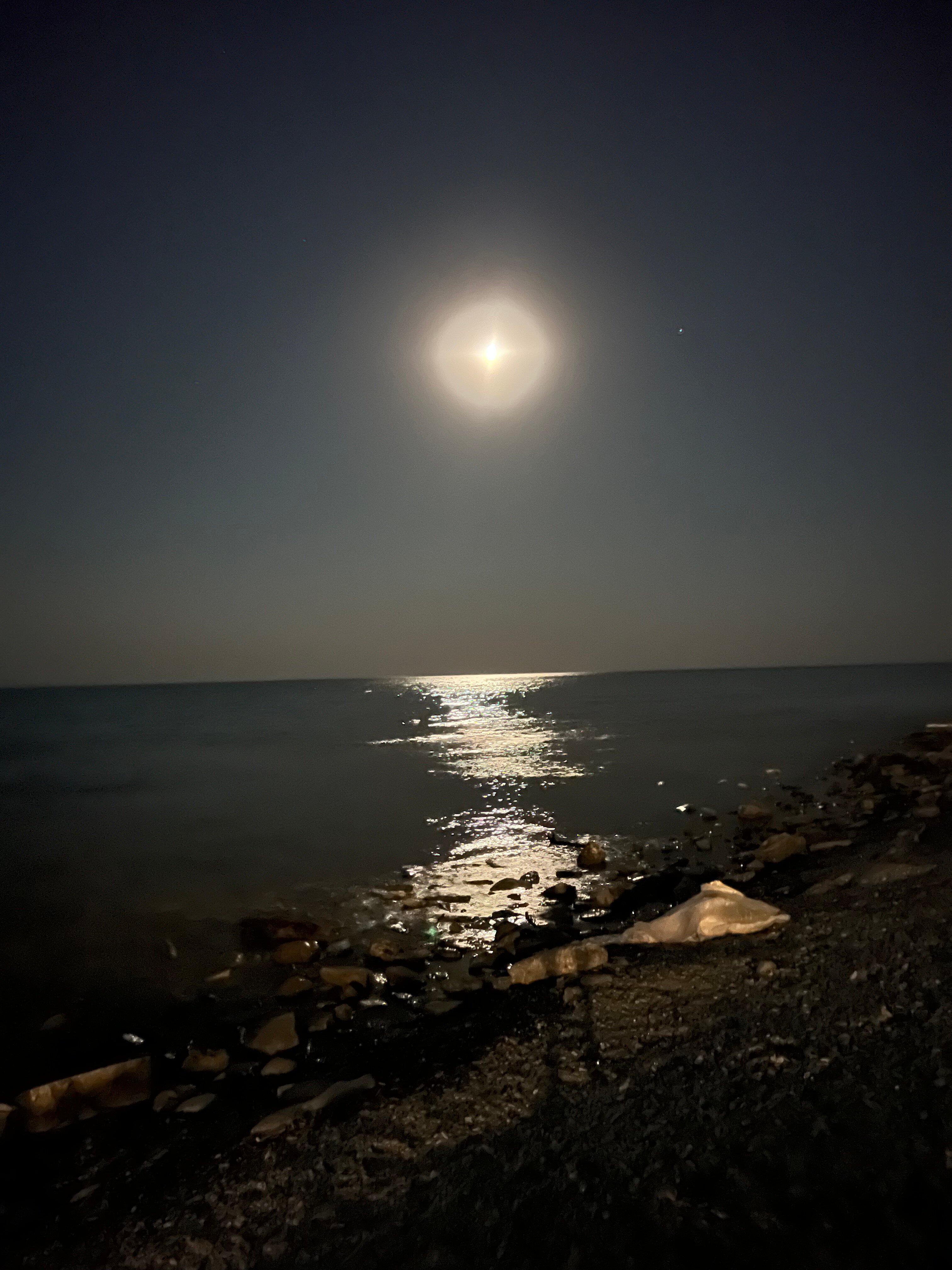 Фото Прованс