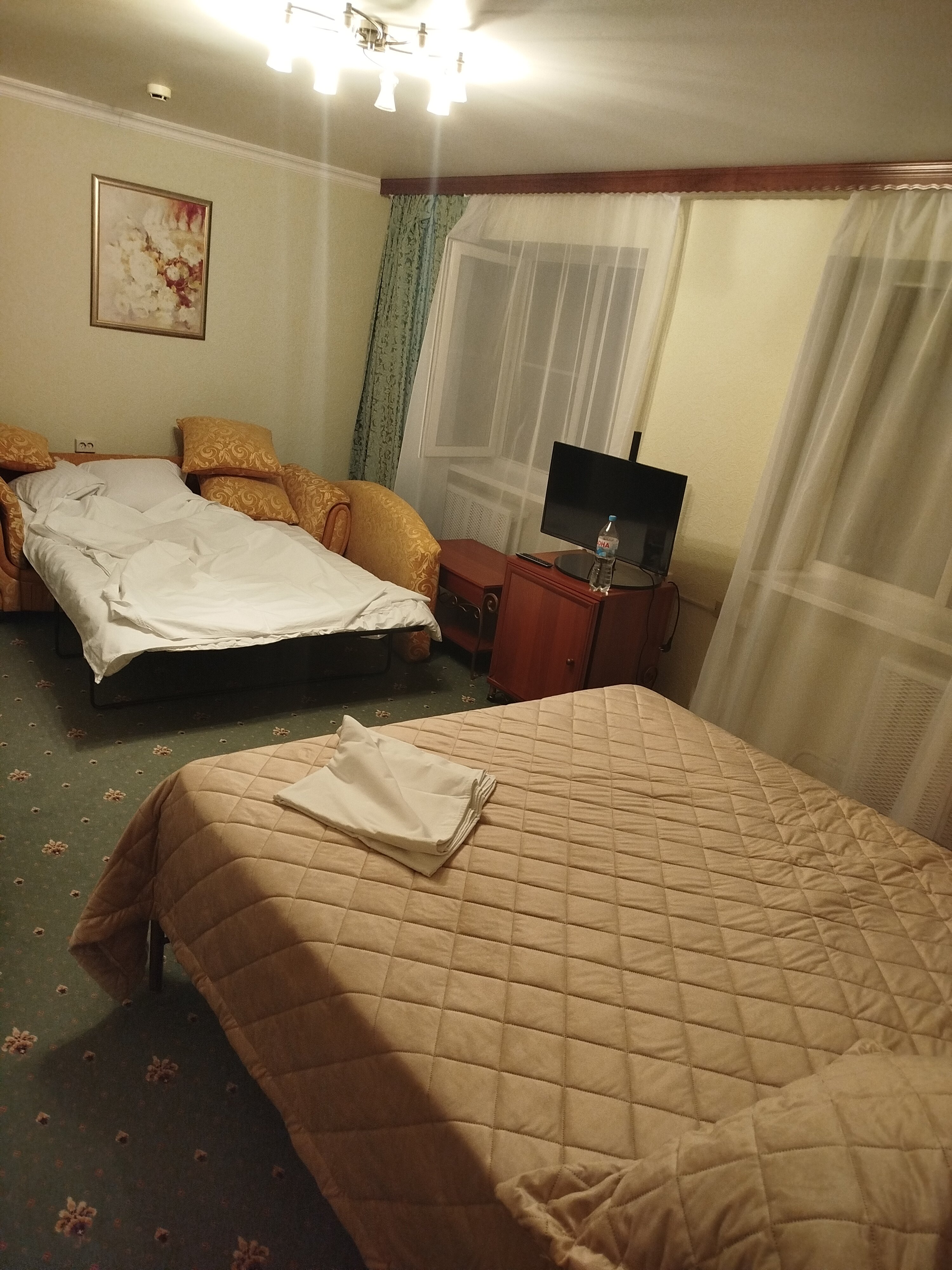 Фото Тюльпан