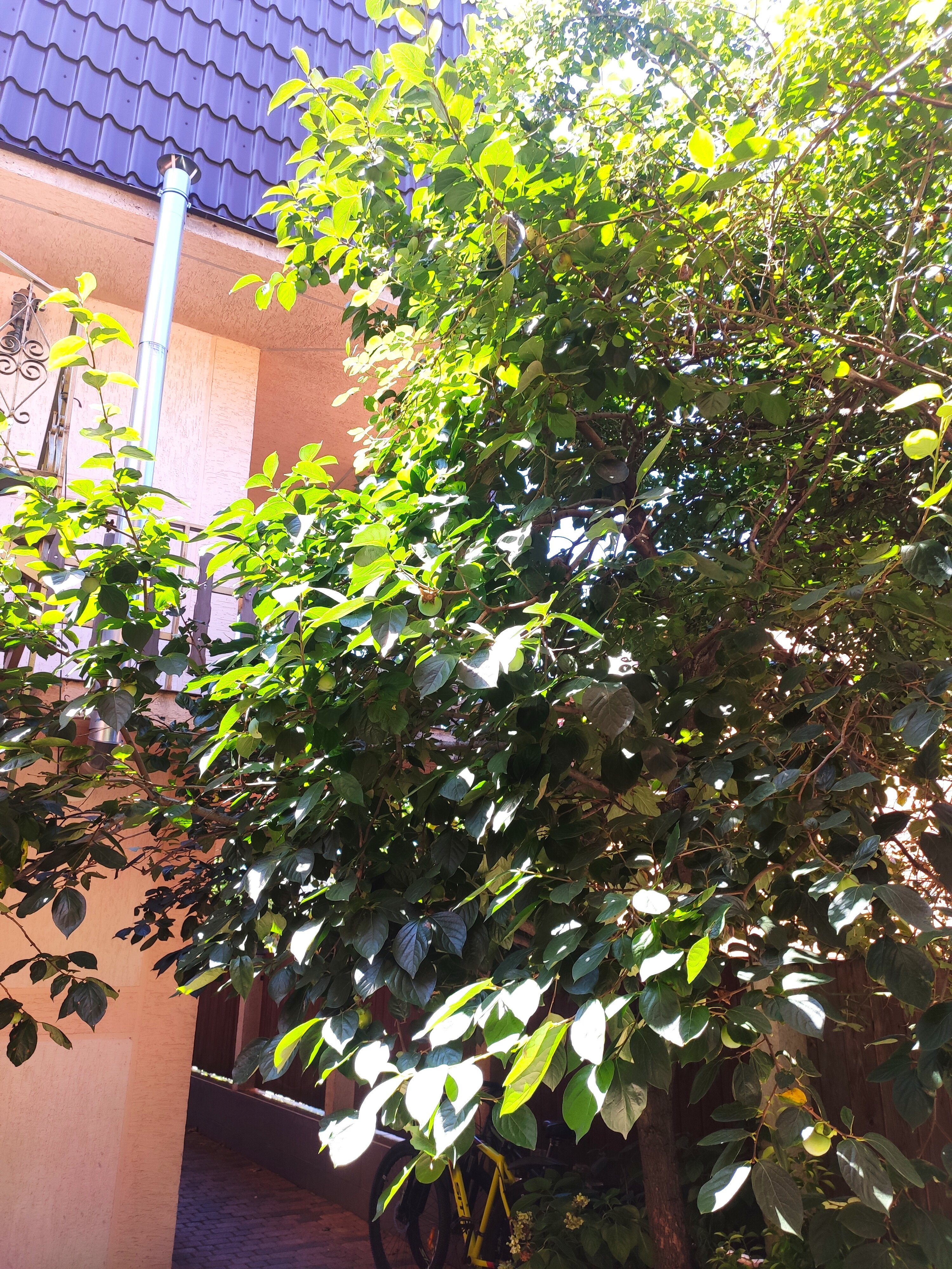 Фото Morskoy priboy