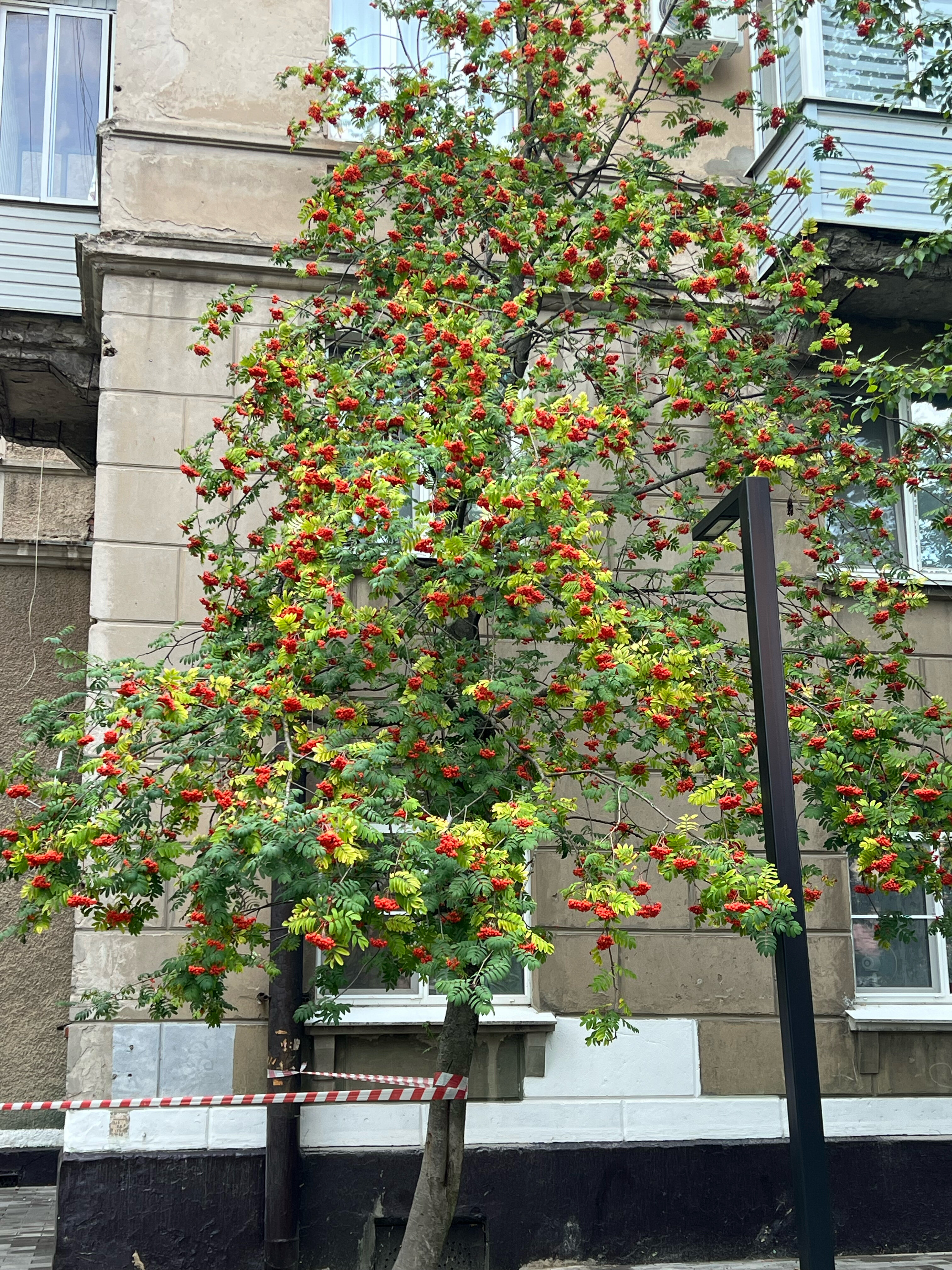 Фото Шерр отель