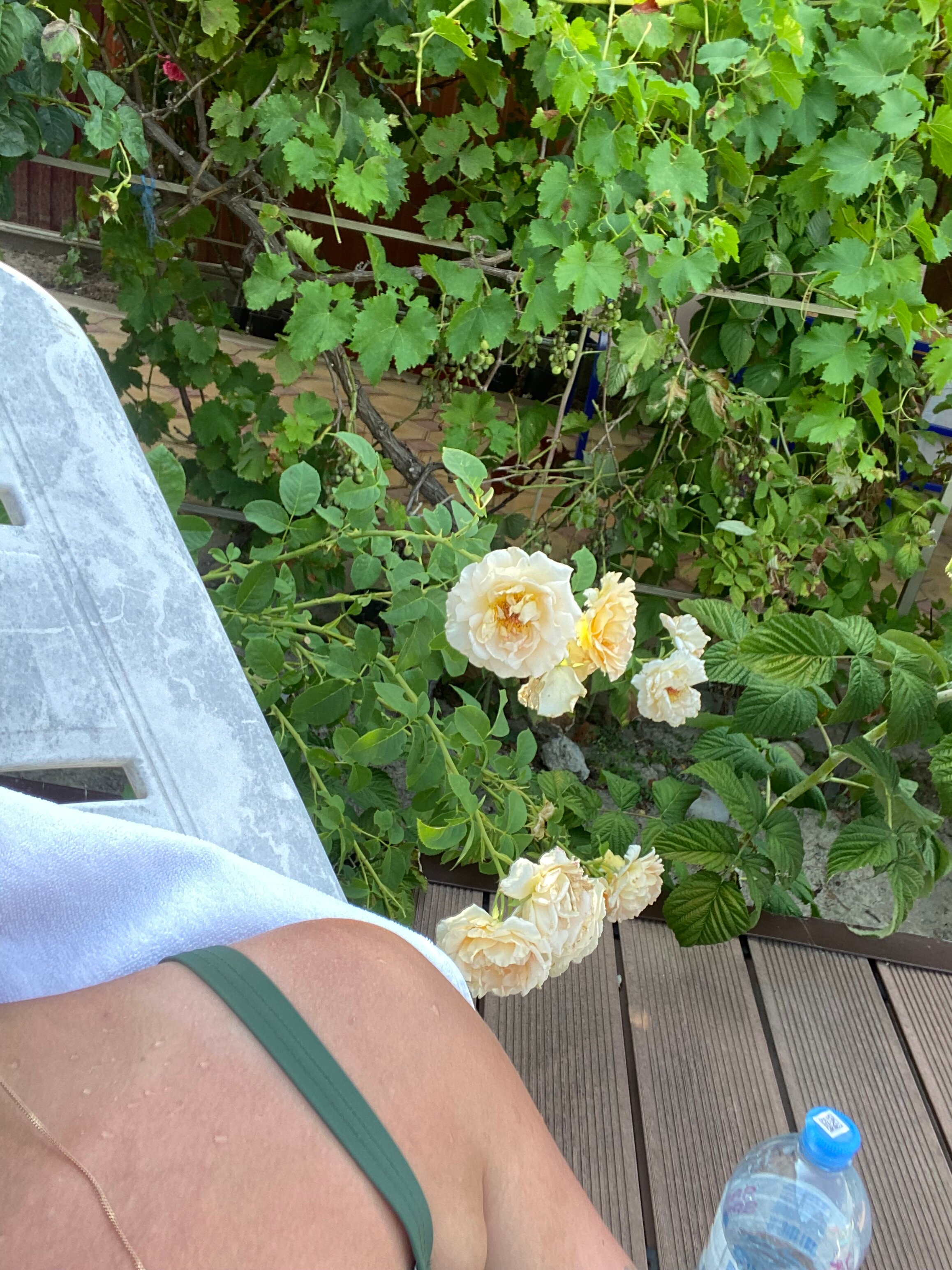 Фото Гостинный дом Ласковый Берег