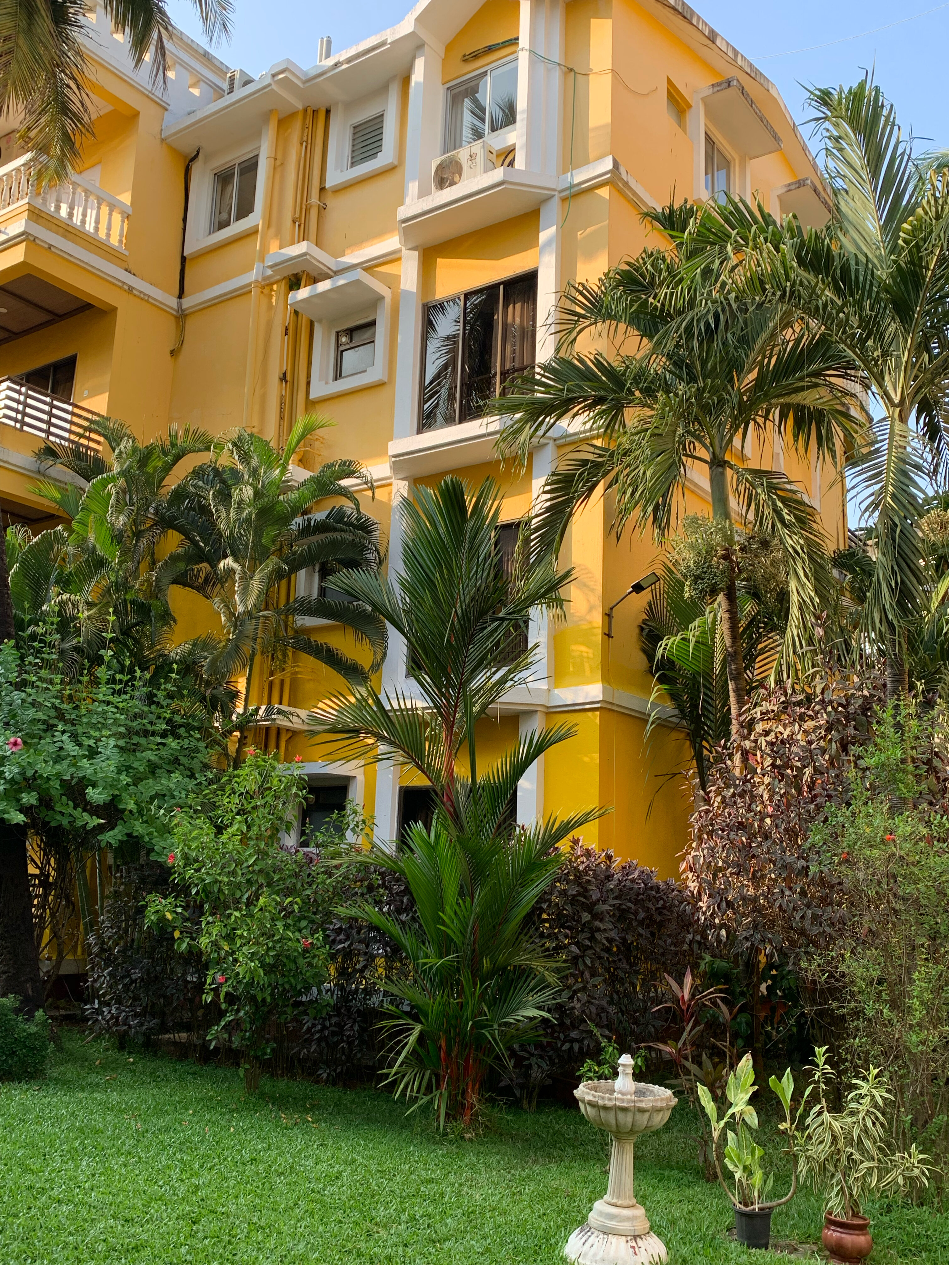 Фото Adamo The Bellus