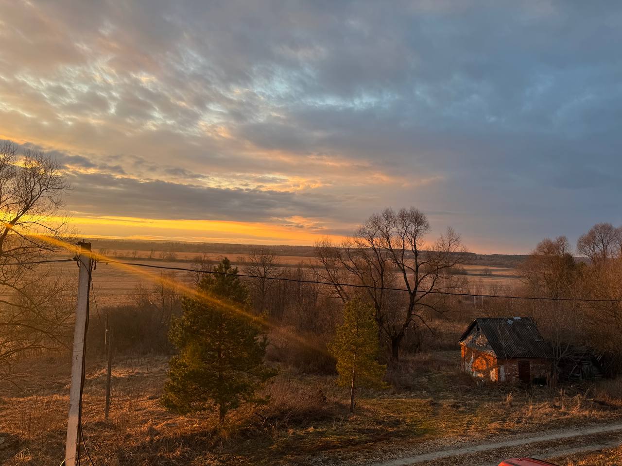 Фото Лисополоса