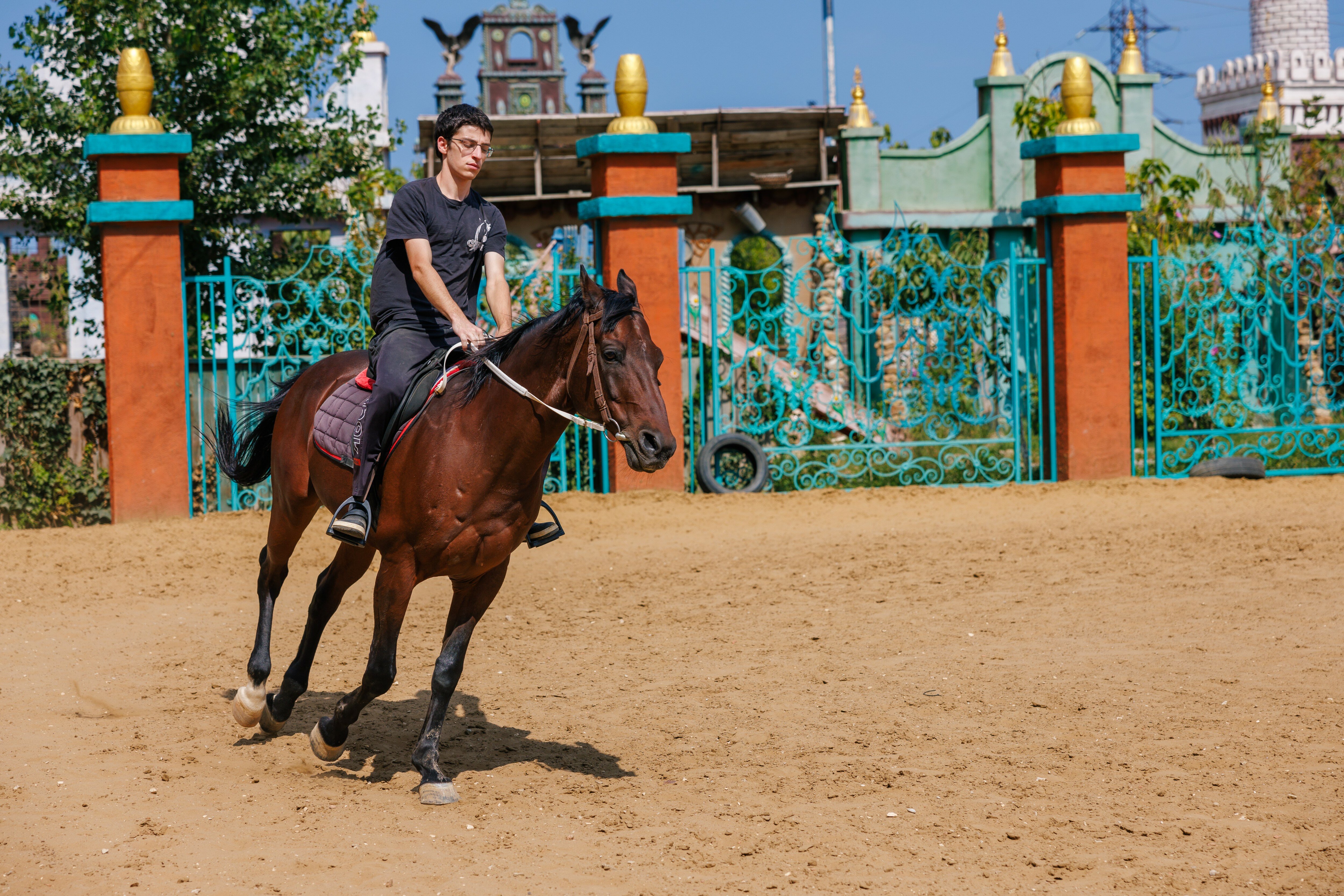 Фото Падишах