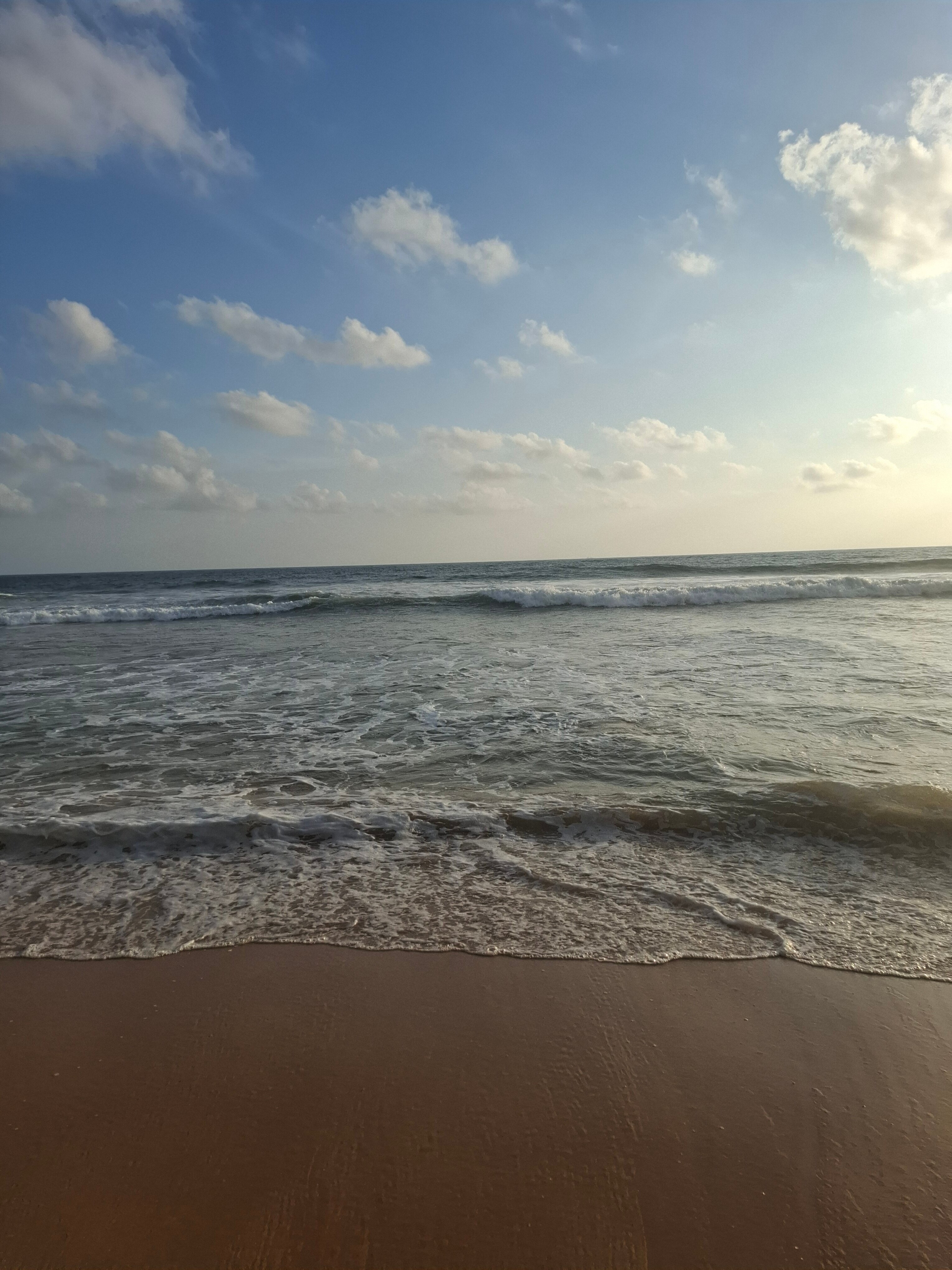 Фото Lucky Elephant