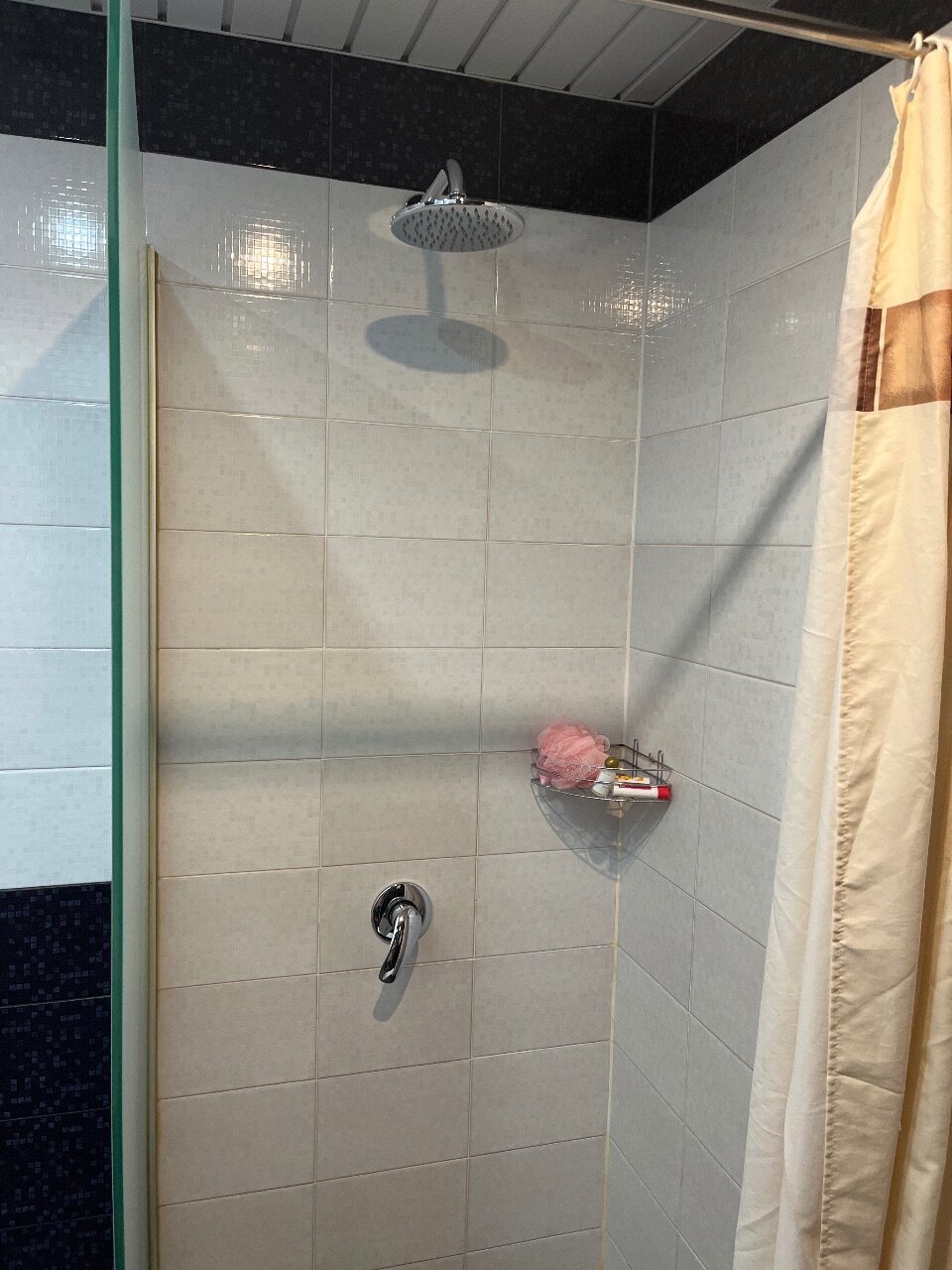 Фото Крокус