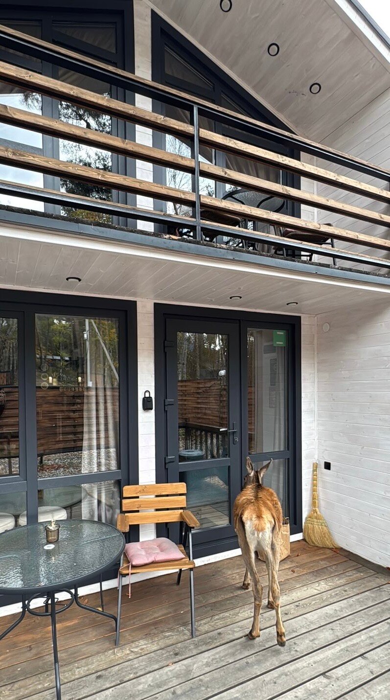 Фото Хижина лесника