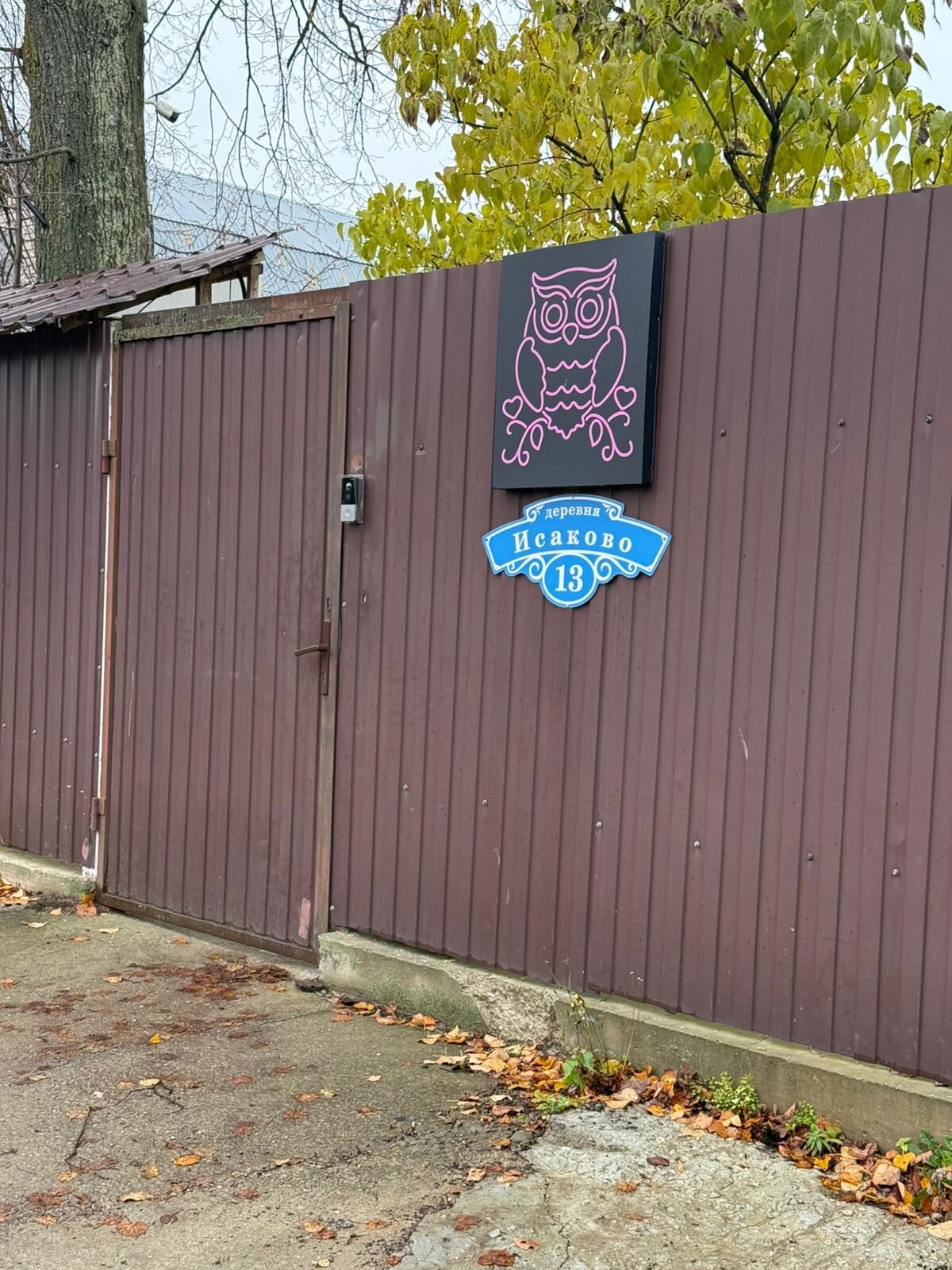 Фото Сова в Шереметьево