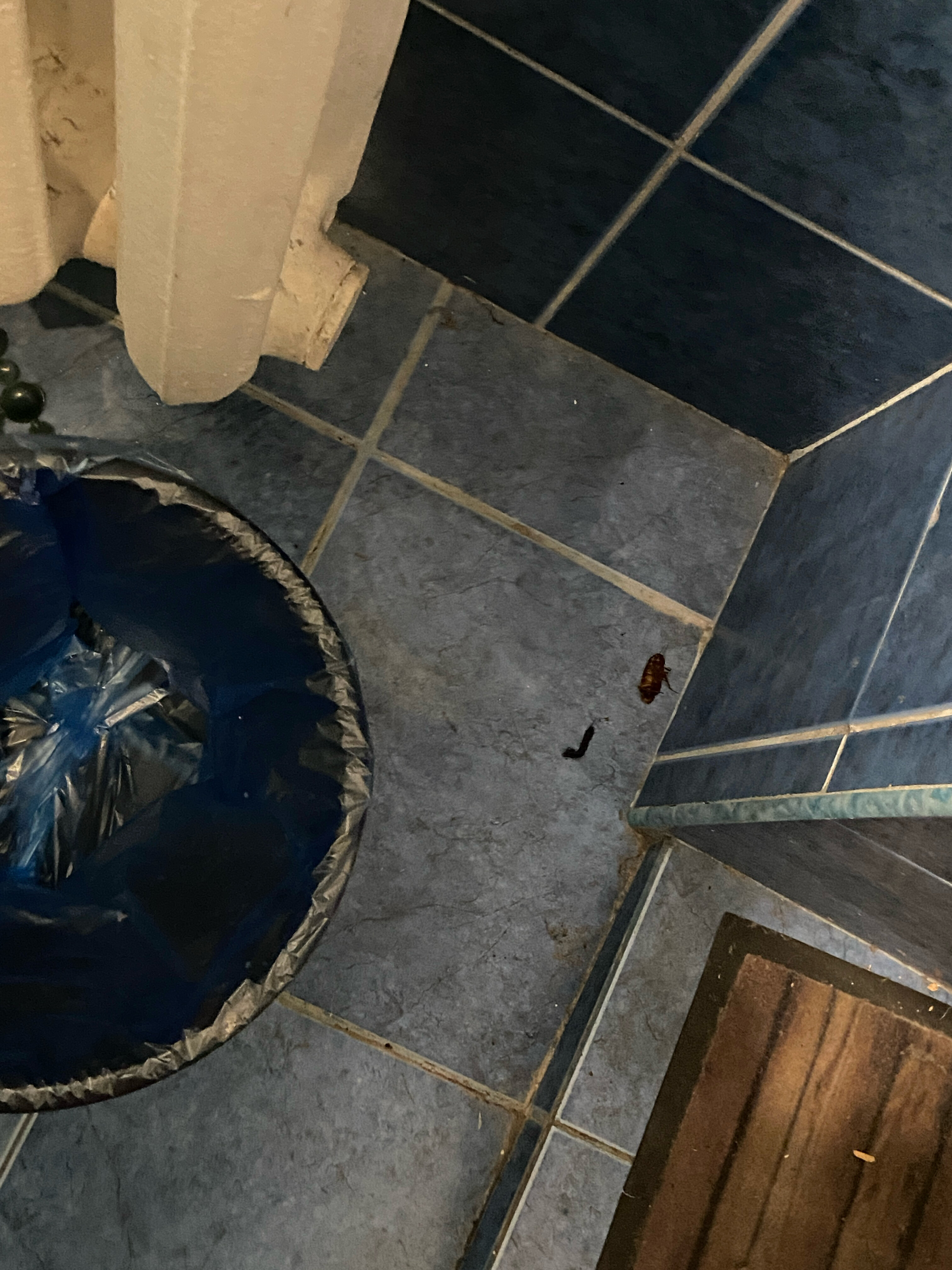 Фото Ва-банк