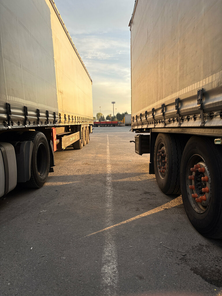 Customs broker Sakarya Customs Clearance, Arifiye, photo