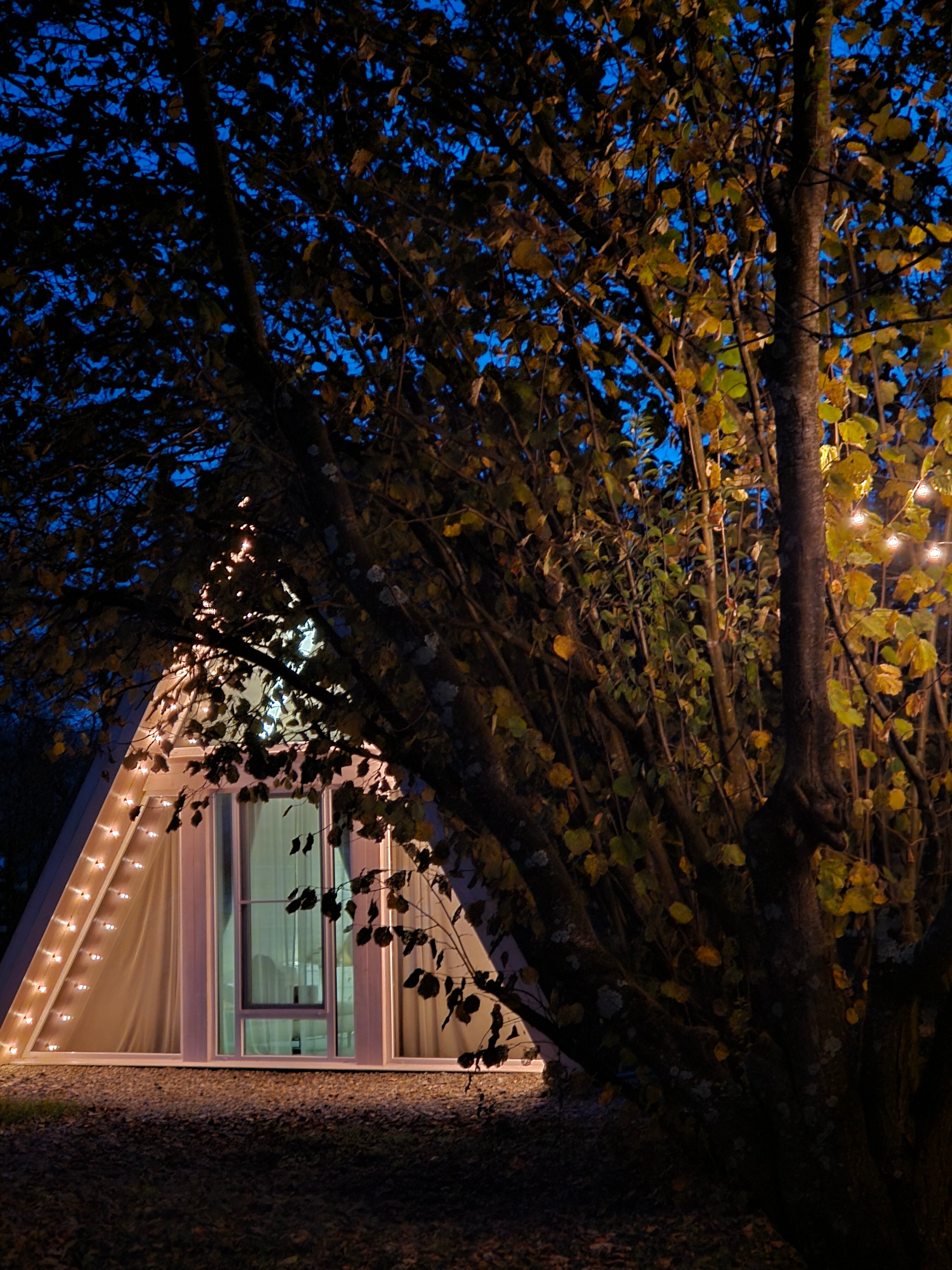 Фото Безмятежность