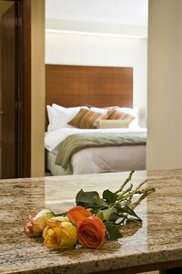 Гостиница Hotel Stubel Suites and Cafe