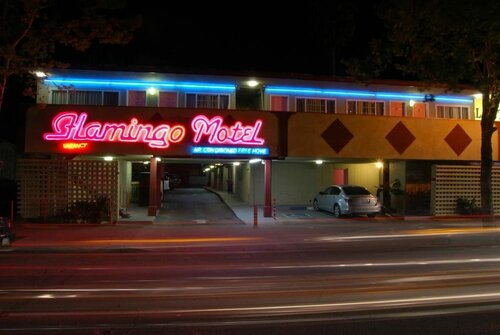 Гостиница The Flamingo Motel в Сан-Хосе