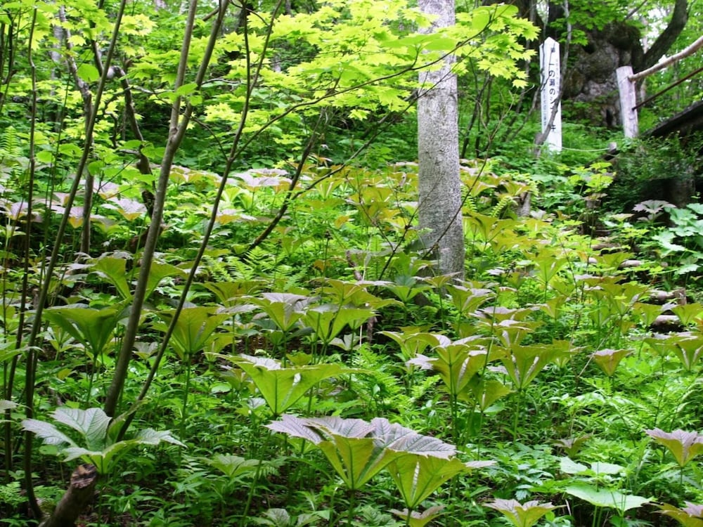 Фото Shiga Grand Hotel