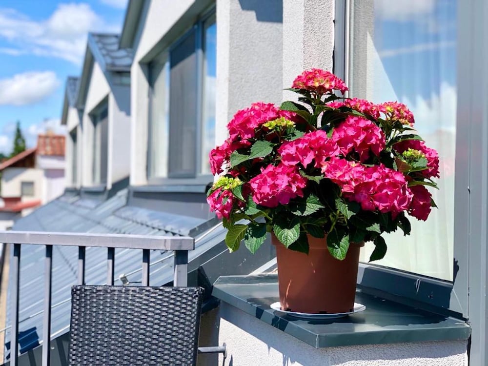 Фото Hotel Shato Gesson